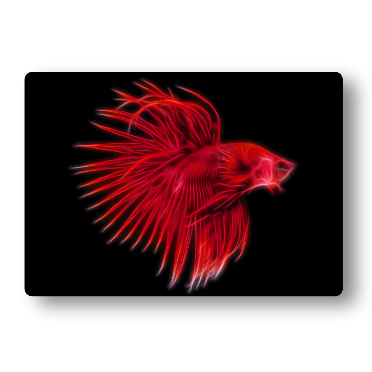 Red Crowntail Betta Aluminium Metal Wall Plaque