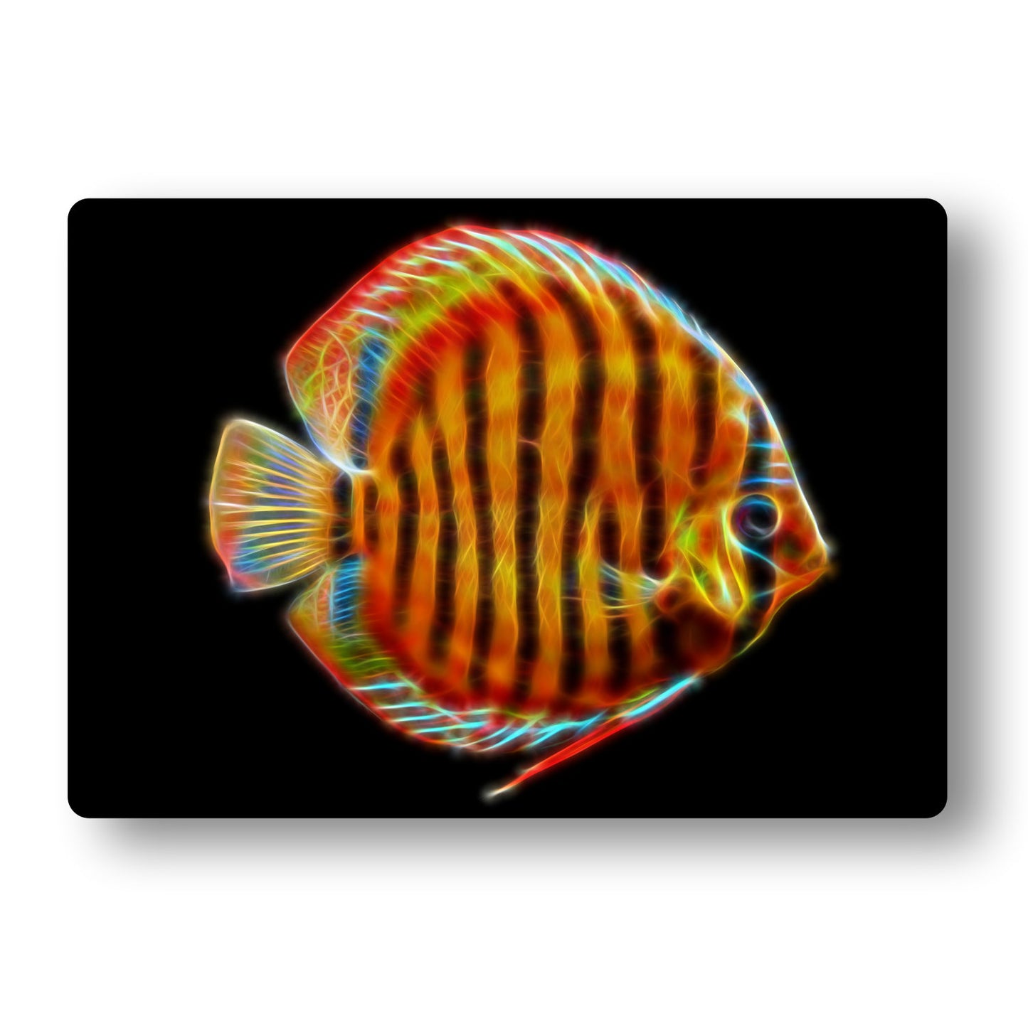 Discus Fish Metal Wall Plaque with Stunning Fractal Art Designs