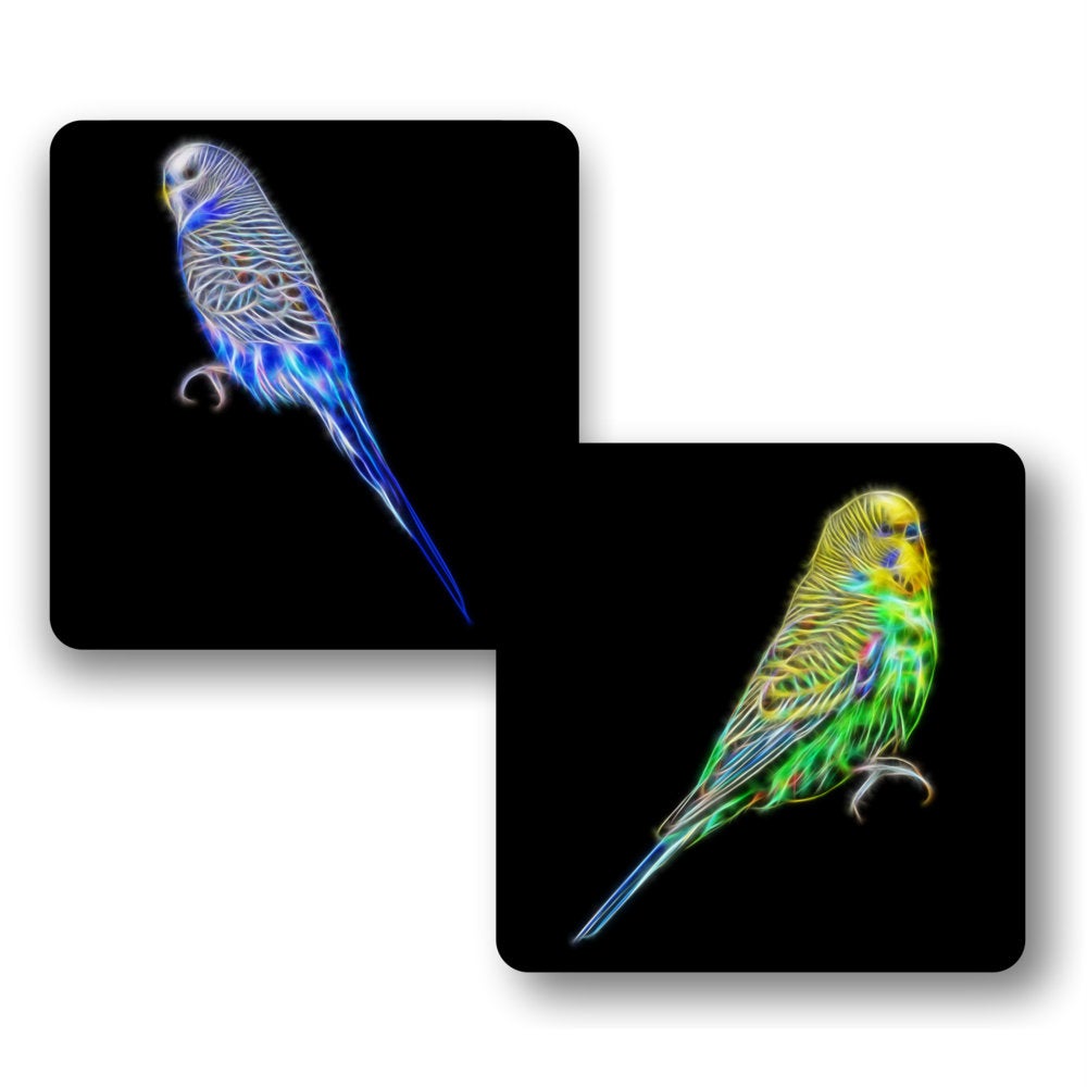 Budgie Coasters, Set of 2, with Stunning Fractal Art Design. Blue and Green Budgerigars