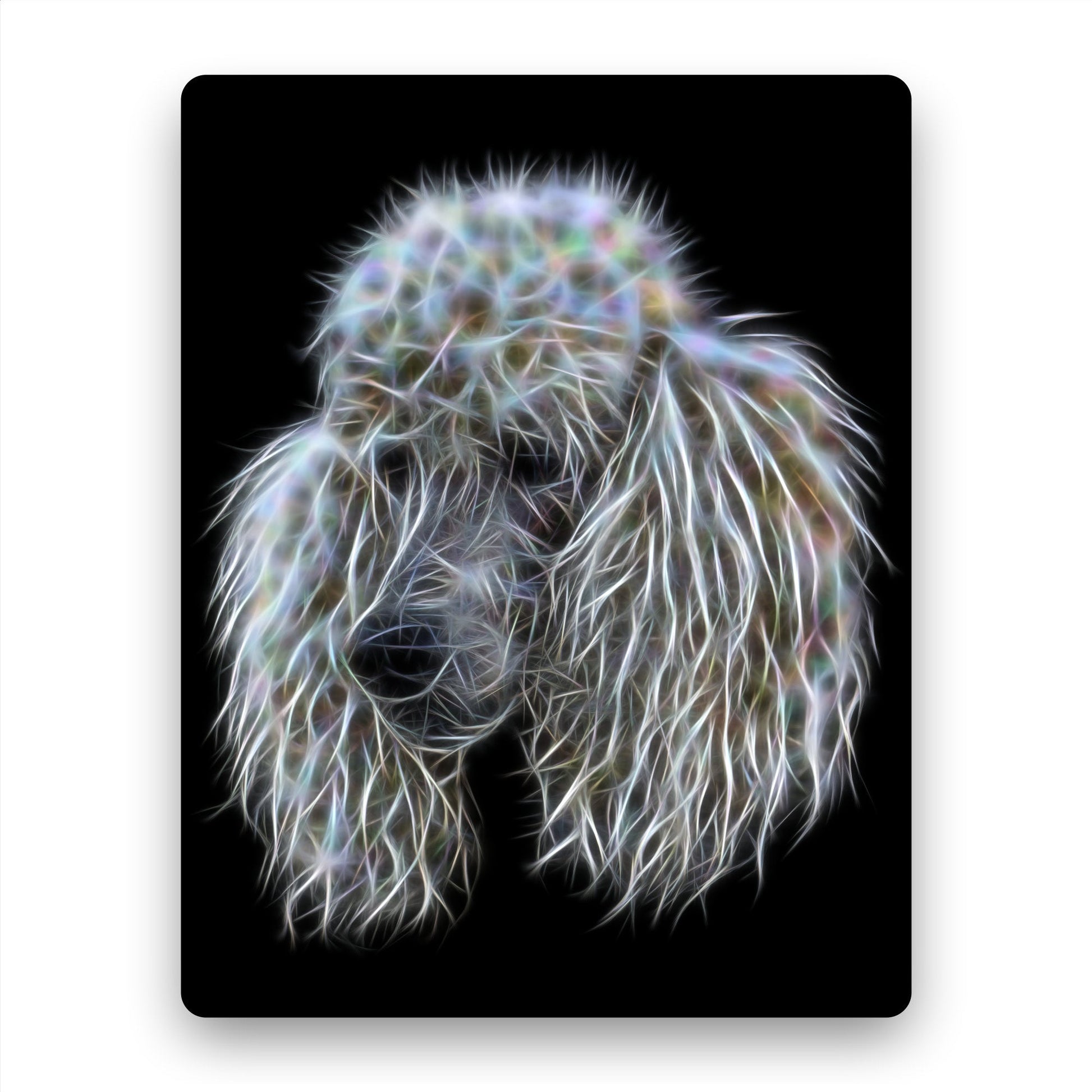 White Standard Poodle Metal Wall Plaque with Stunning Fractal Art Design.