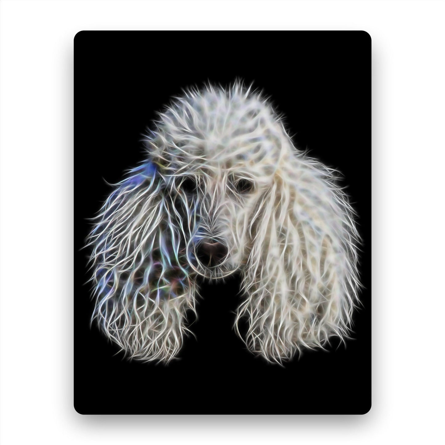 White Standard Poodle Metal Wall Plaque with Stunning Fractal Art Design.