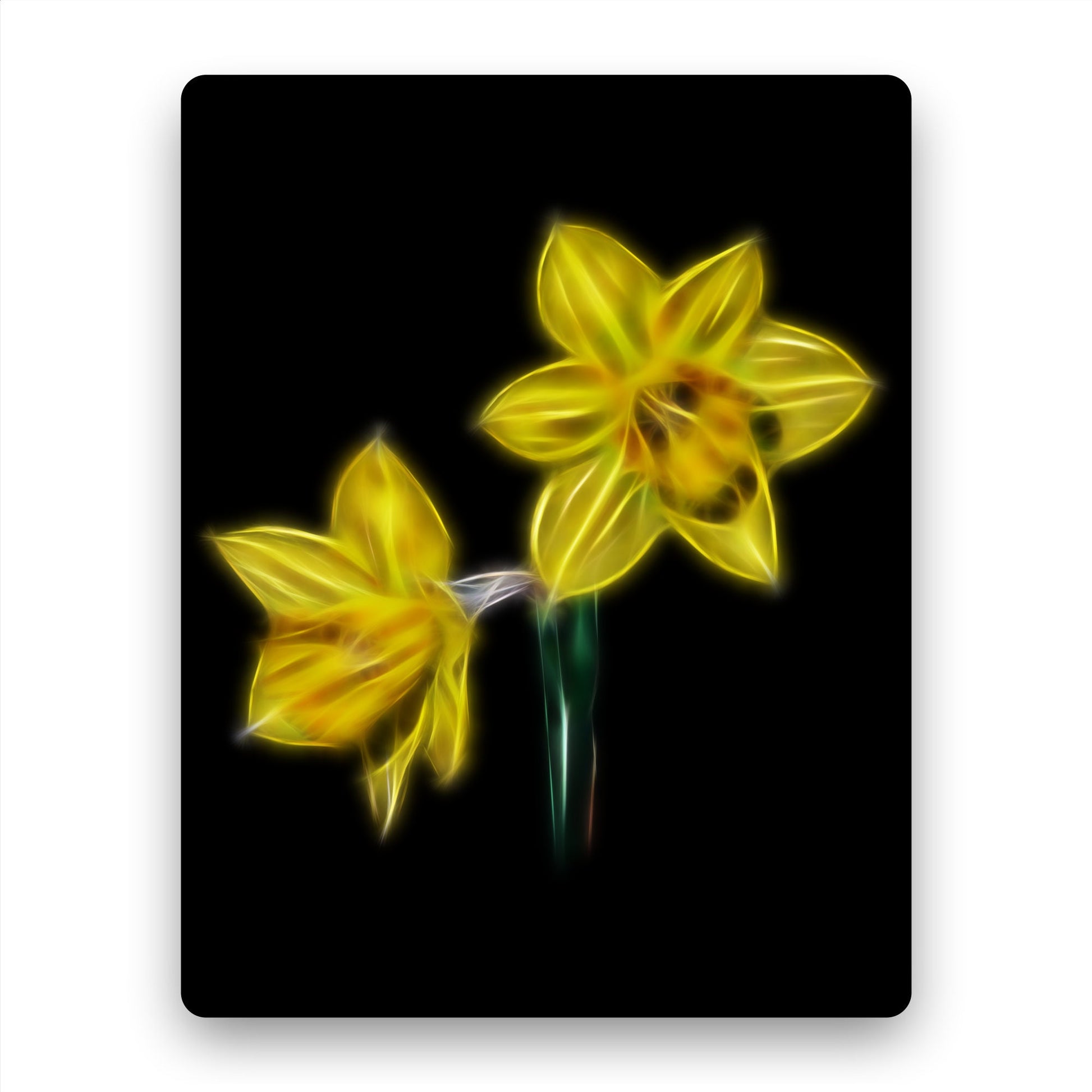 Daffodil Metal Wall Plaque with Stunning Fractal Art Design