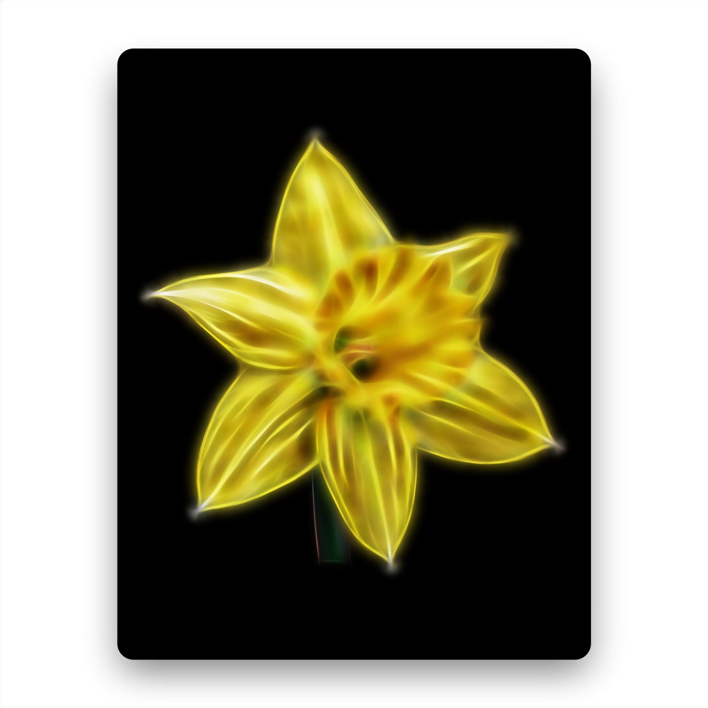 Daffodil Metal Wall Plaque with Stunning Fractal Art Design