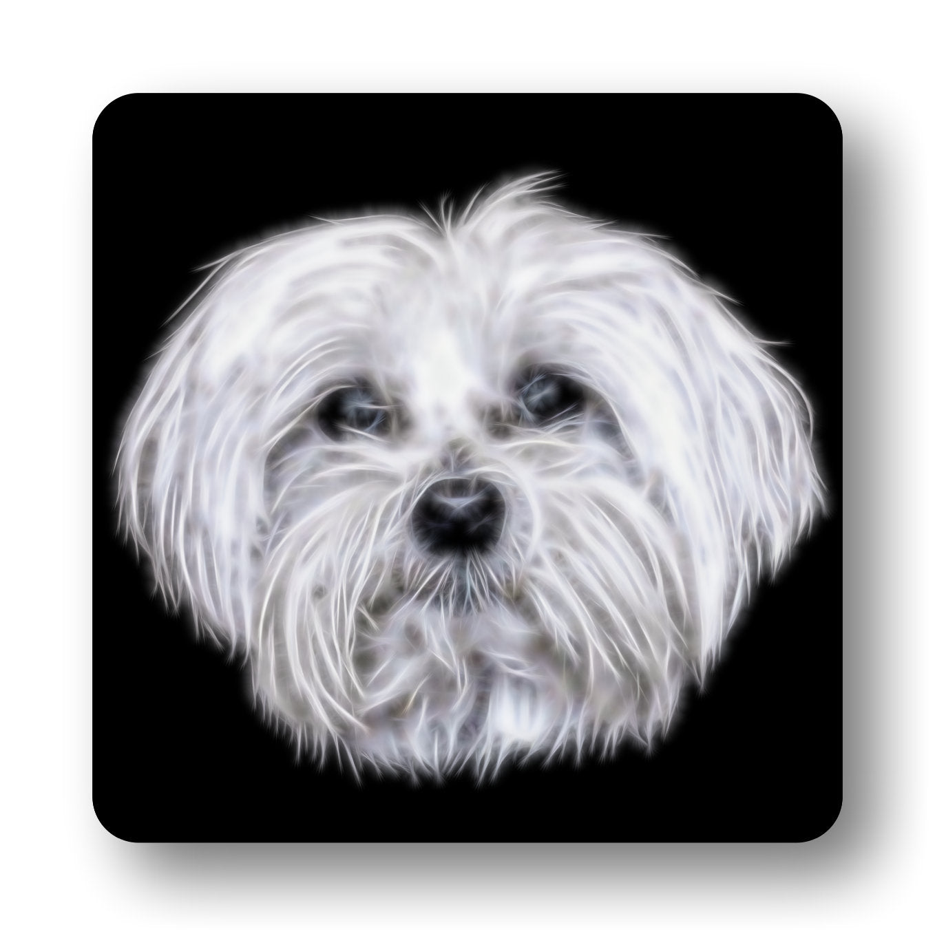 Maltese Dog Coasters, Set of 2, with Stunning Fractal Art Design.