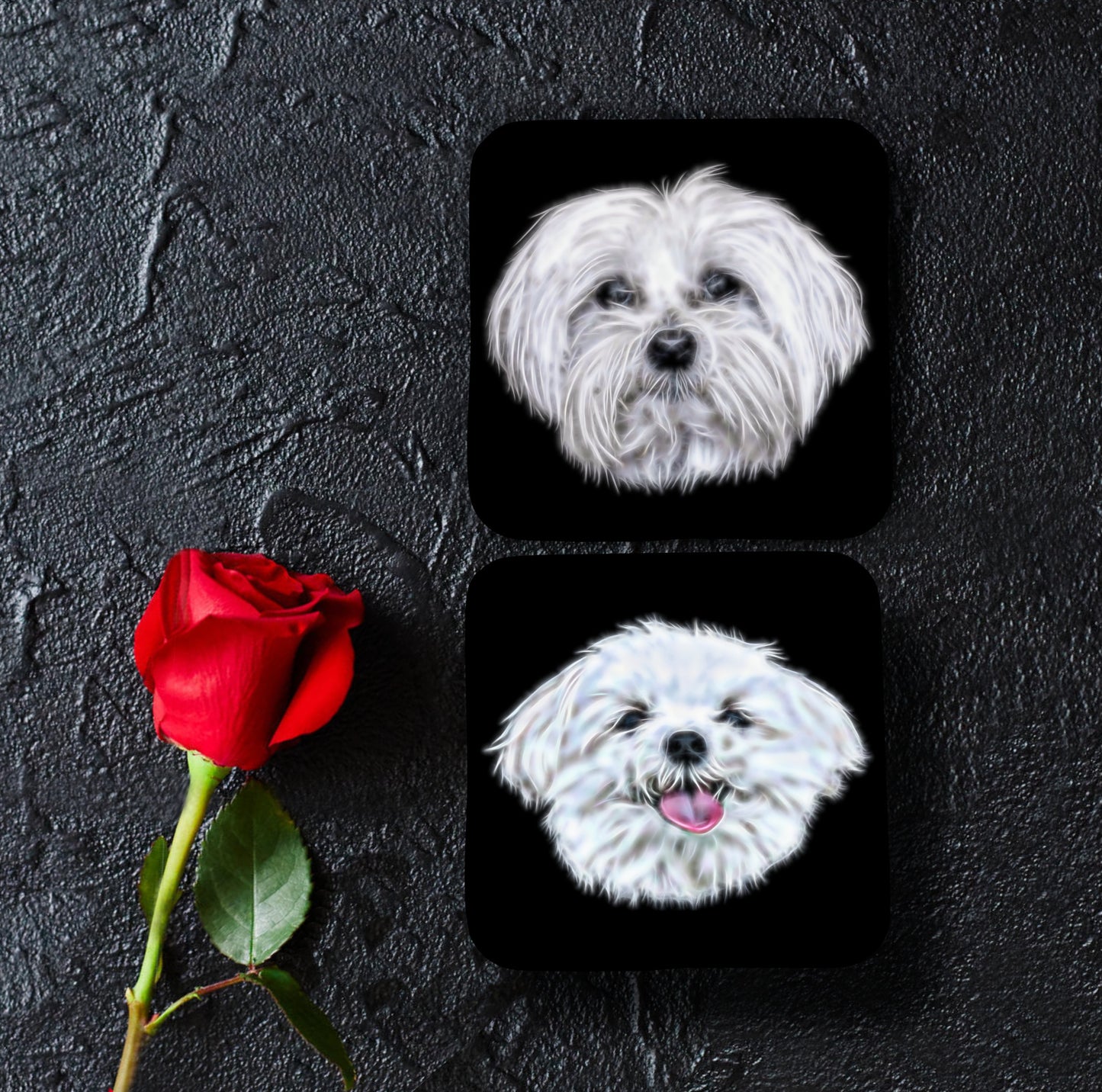 Maltese Dog Coasters, Set of 2, with Stunning Fractal Art Design.