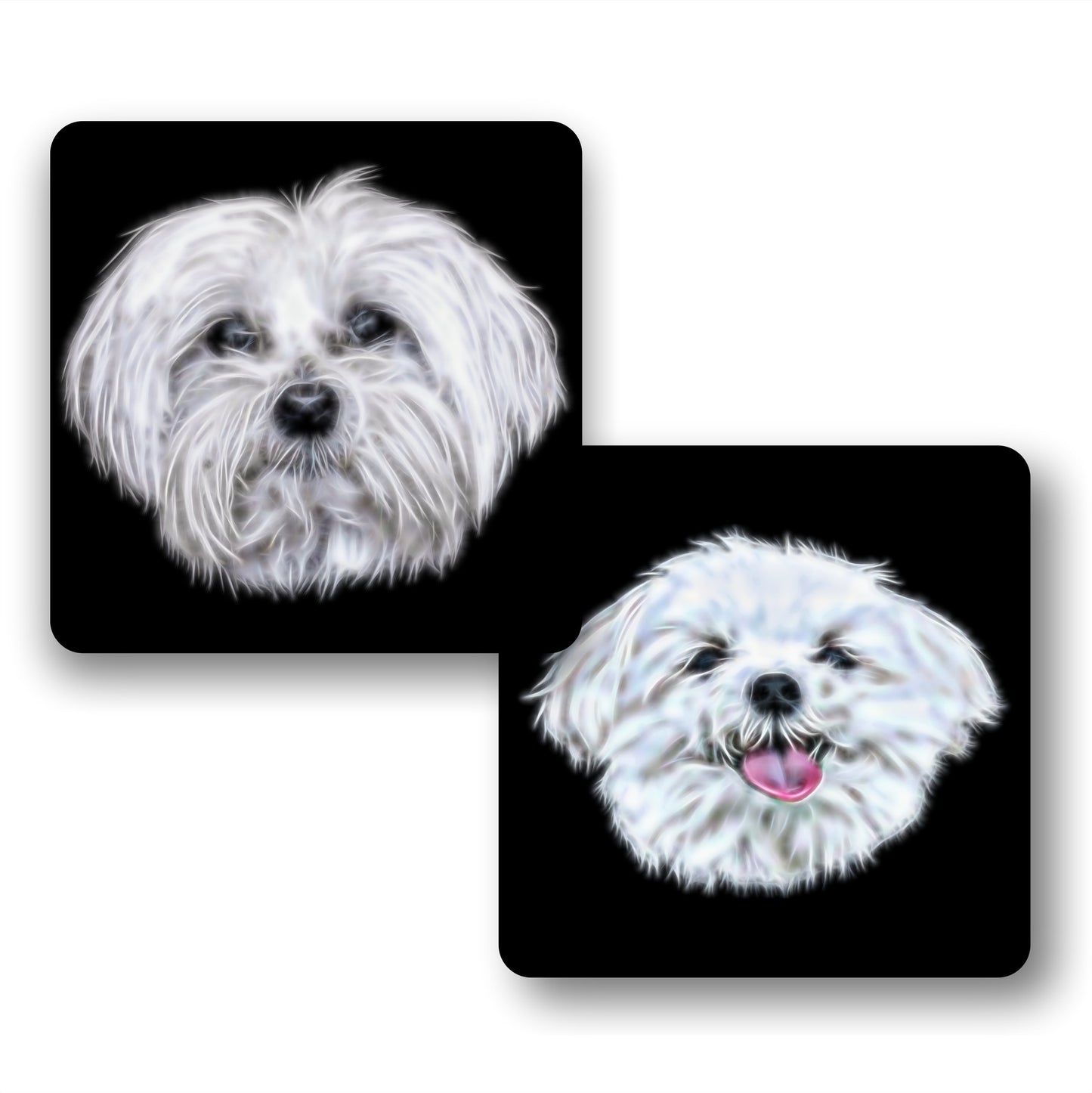 Maltese Dog Coasters, Set of 2, with Stunning Fractal Art Design.