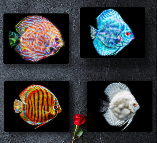Discus Fish Metal Wall Plaque with Stunning Fractal Art Designs