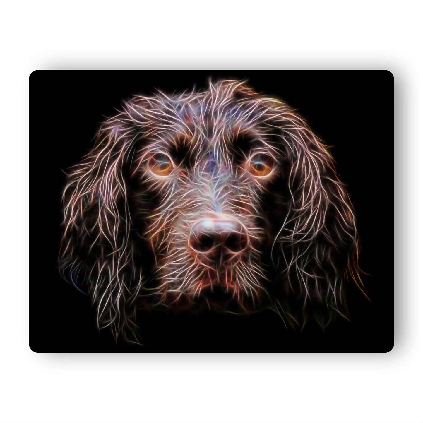 Chocolate Working Cocker Spaniel Metal Wall Plaque  with Stunning Fractal Art Design