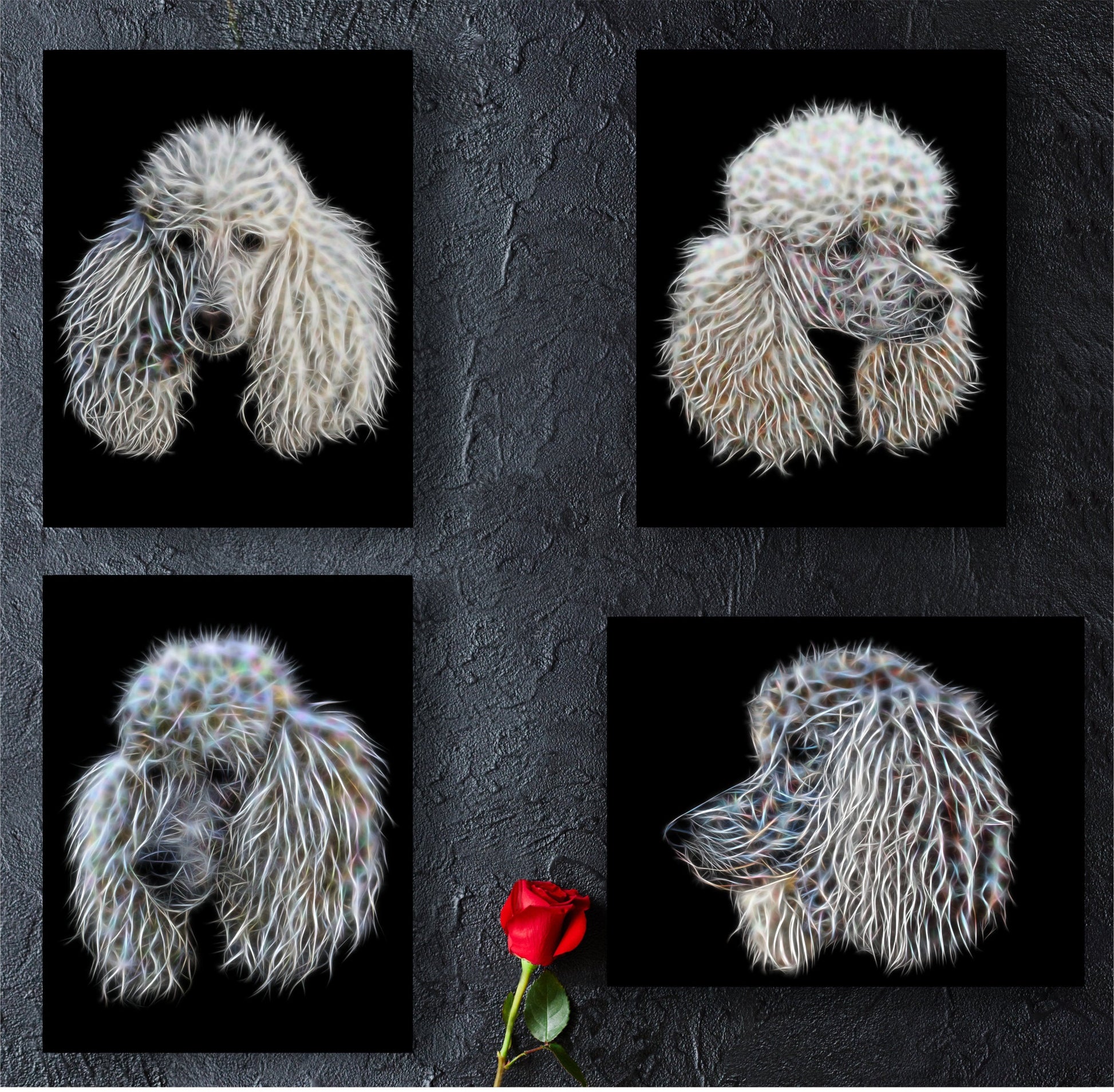 White Poodle Print with Stunning Fractal Art Design. Various Sizes Available