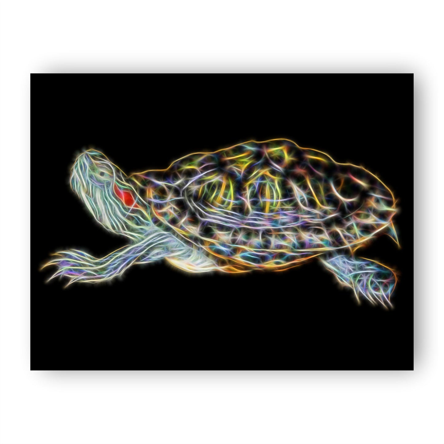 Red-eared Slider Turtle Print with Stunning Fractal Art Design. Various Sizes Available