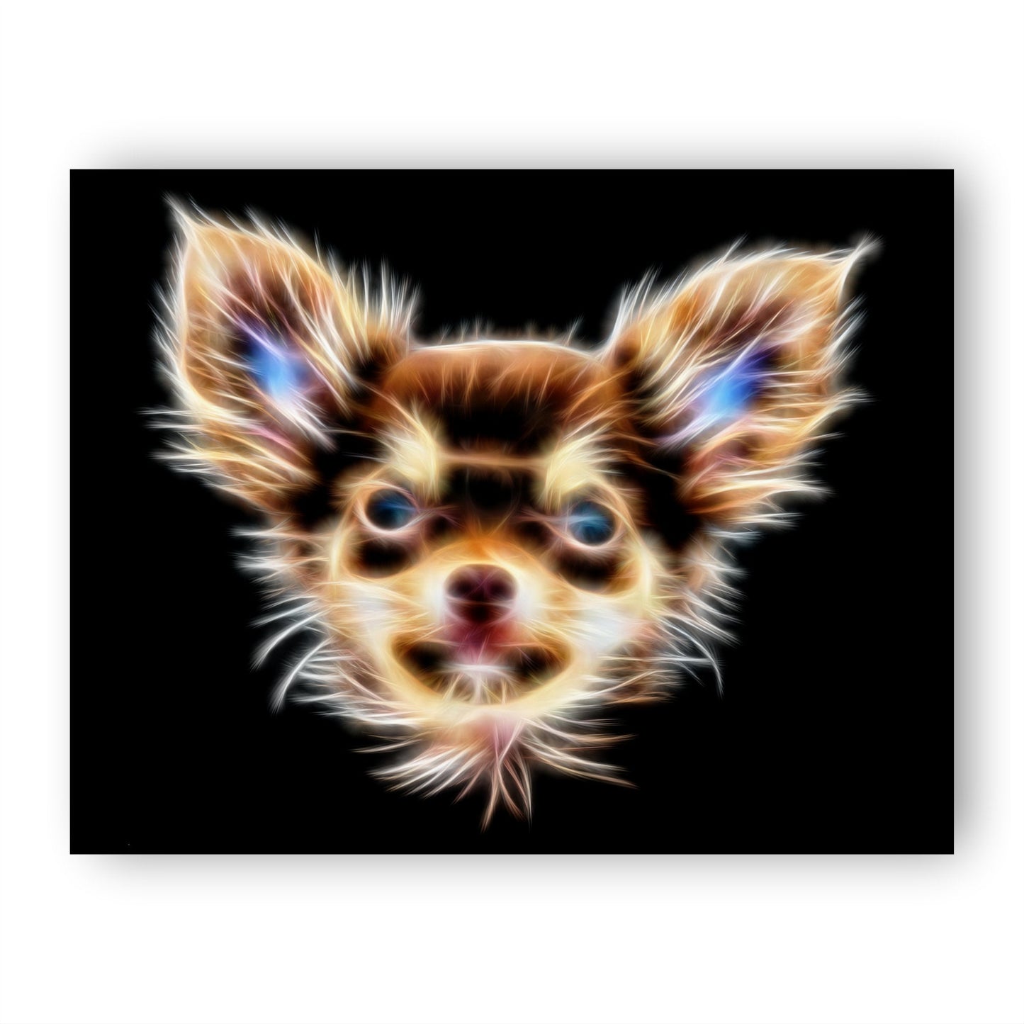 Chocolate and Tan Long Haired Chihuahua Print with Stunning Fractal Art Design. Various Sizes Available