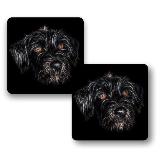 Black Jackapoo Coasters, Set of 2, with Stunning Fractal Art Design.