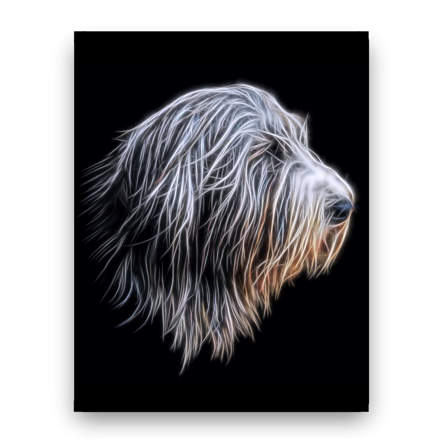 Bearded Collie Print with Stunning Fractal Art Design. Various Sizes Available