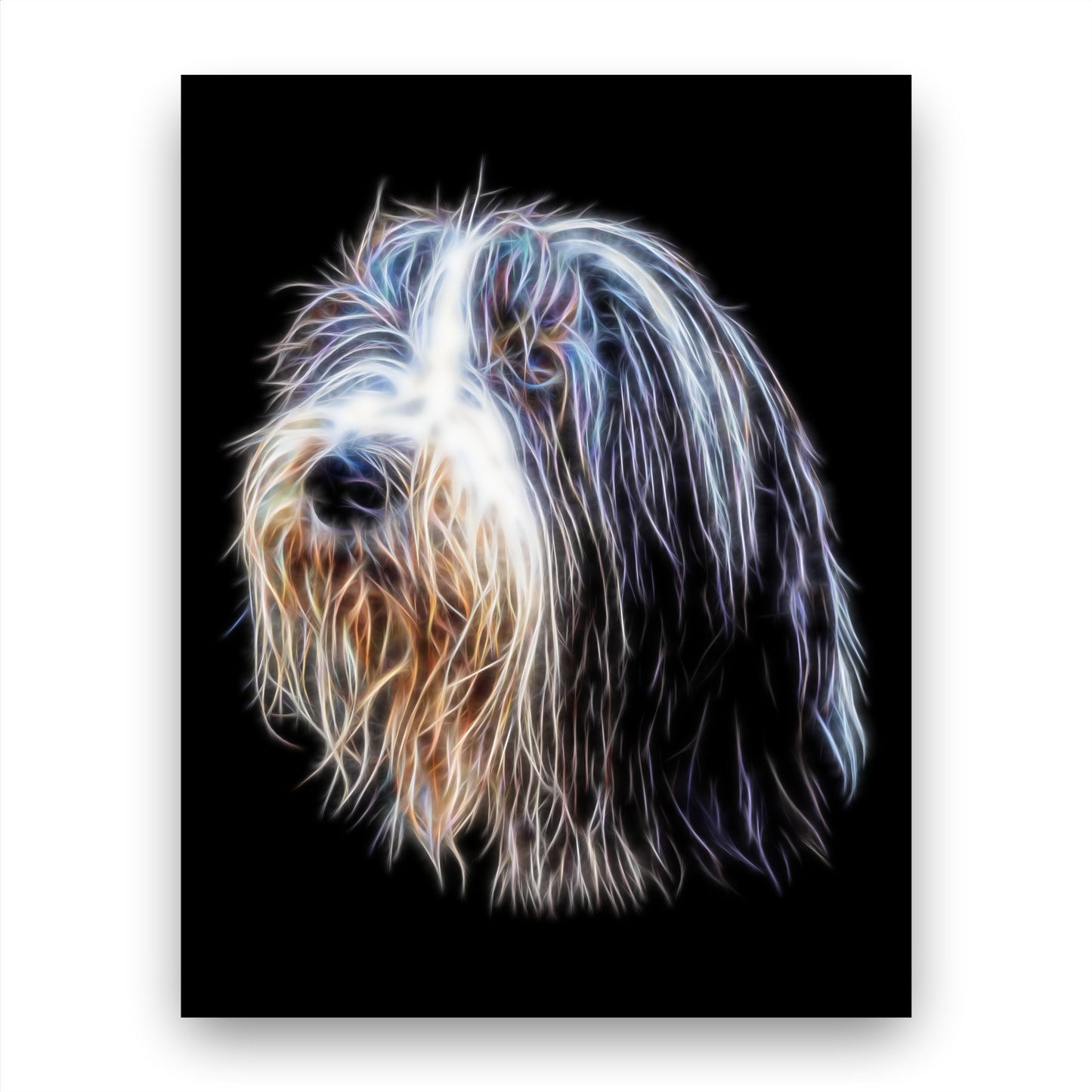 Bearded Collie Print with Stunning Fractal Art Design. Various Sizes Available