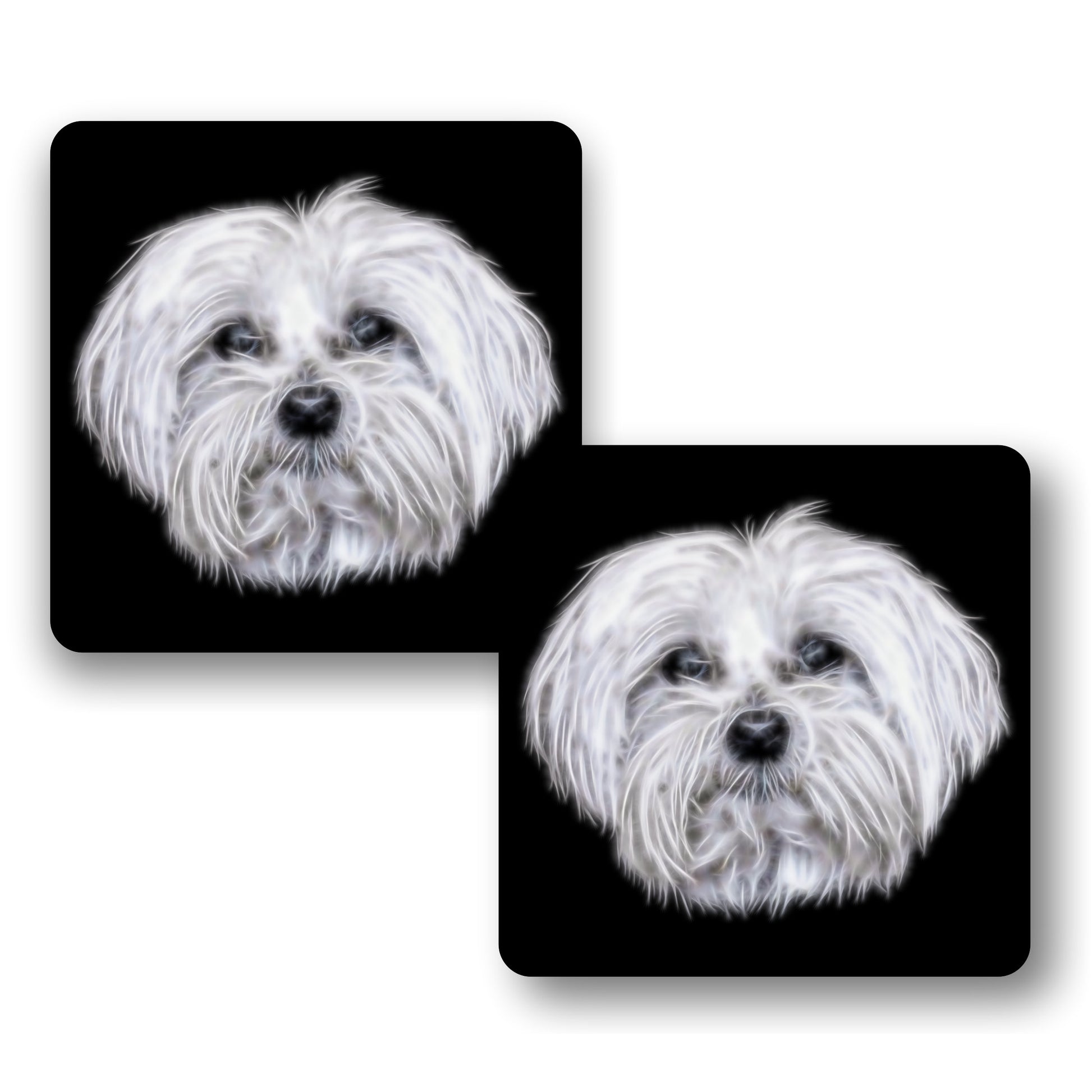 Maltese Dog Coasters, Set of 2, with Stunning Fractal Art Design.