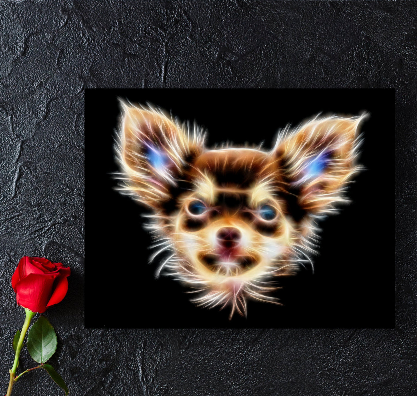 Chocolate and Tan Long Haired Chihuahua Print with Stunning Fractal Art Design. Various Sizes Available