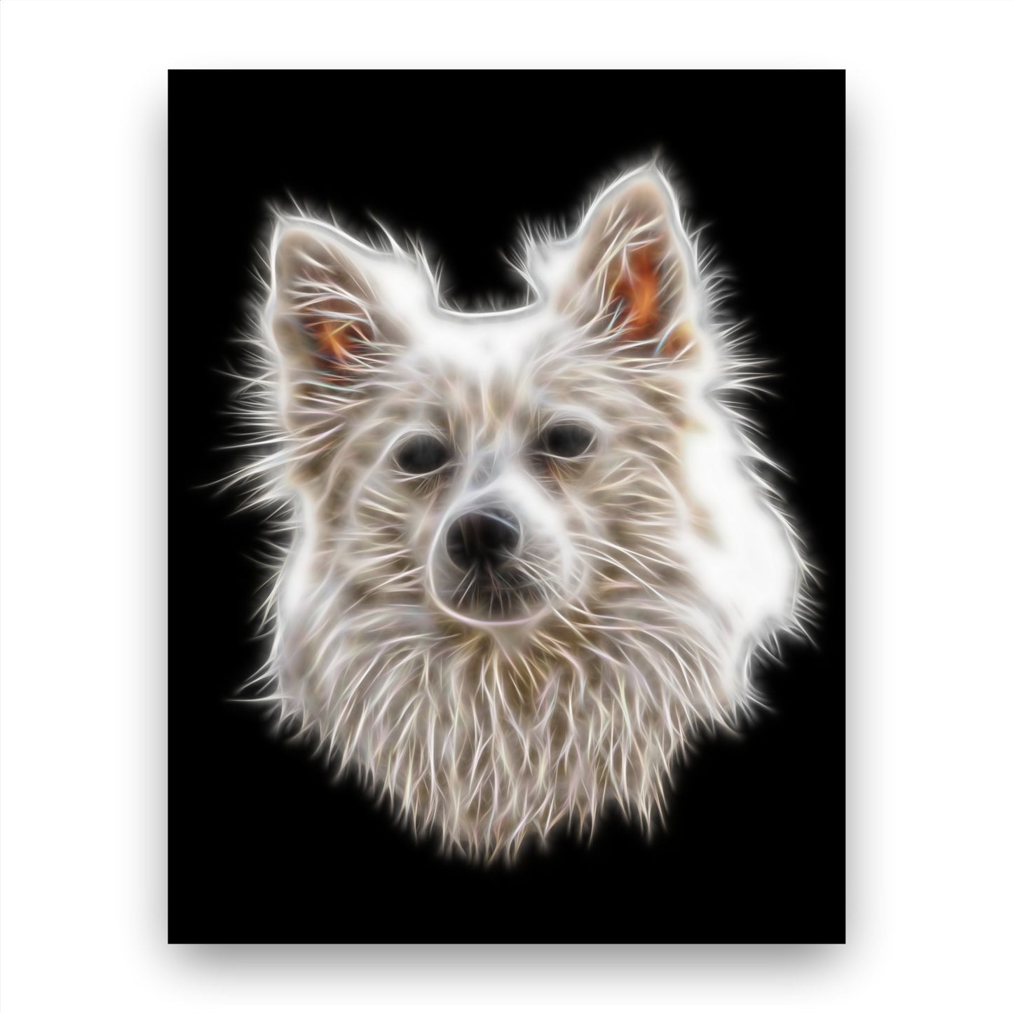 German Spitz Print with Stunning Fractal Art Design. Various Sizes Available