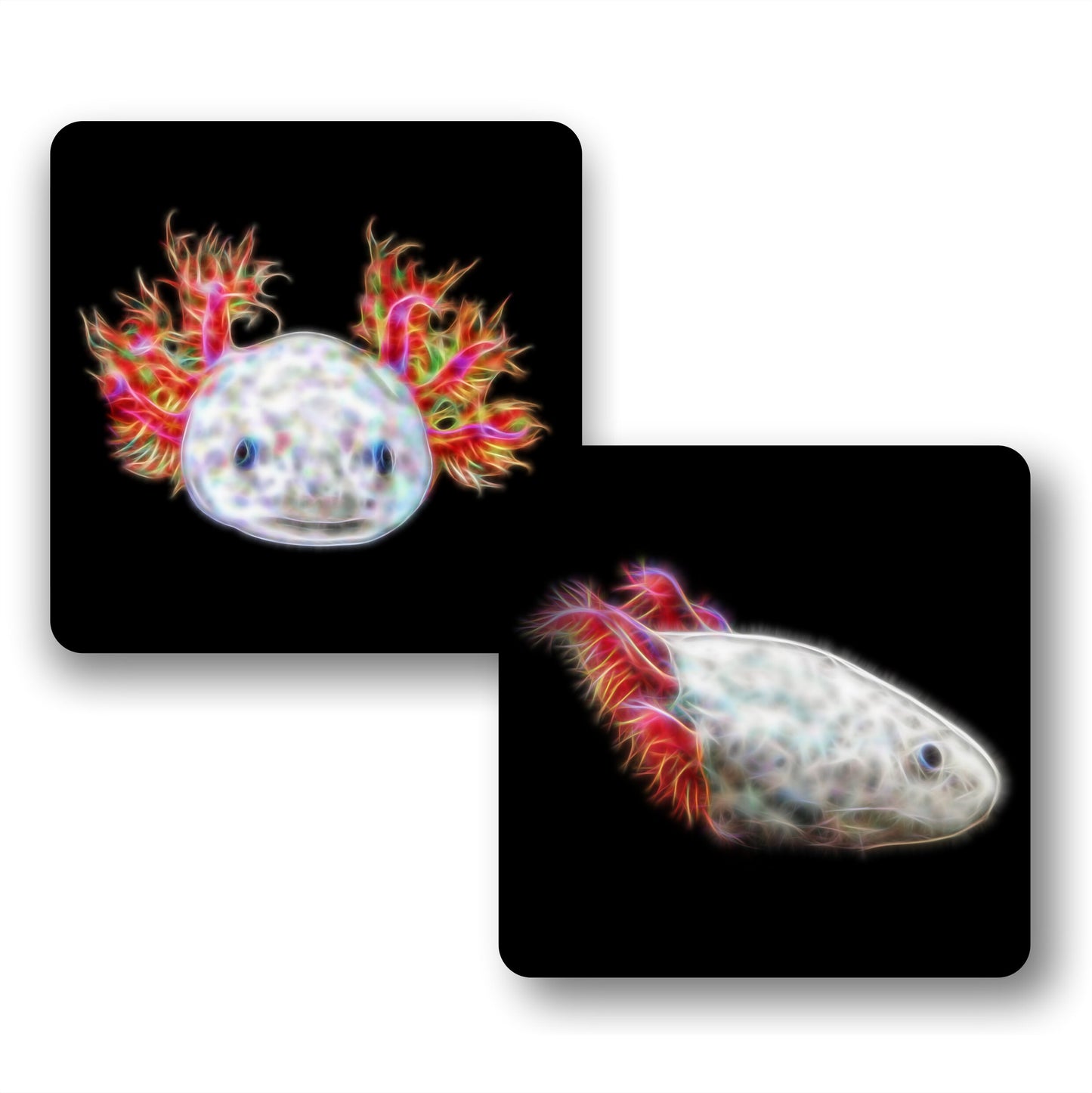 Pink Axolotl Coasters, Set of 2, with Stunning Fractal Art Design.