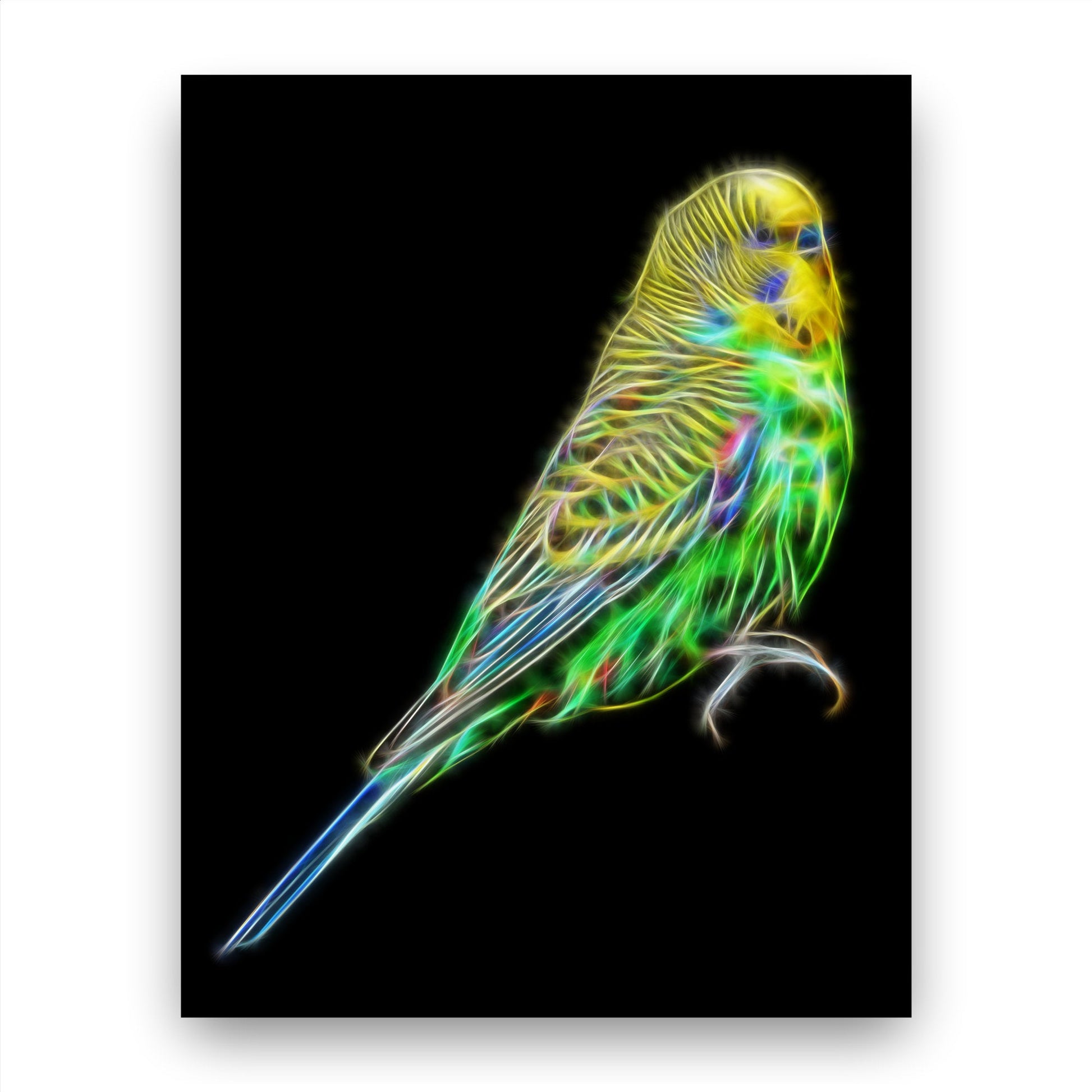 Budgie Print with Stunning Fractal Art Design. Blue or Green Budgerigar available.