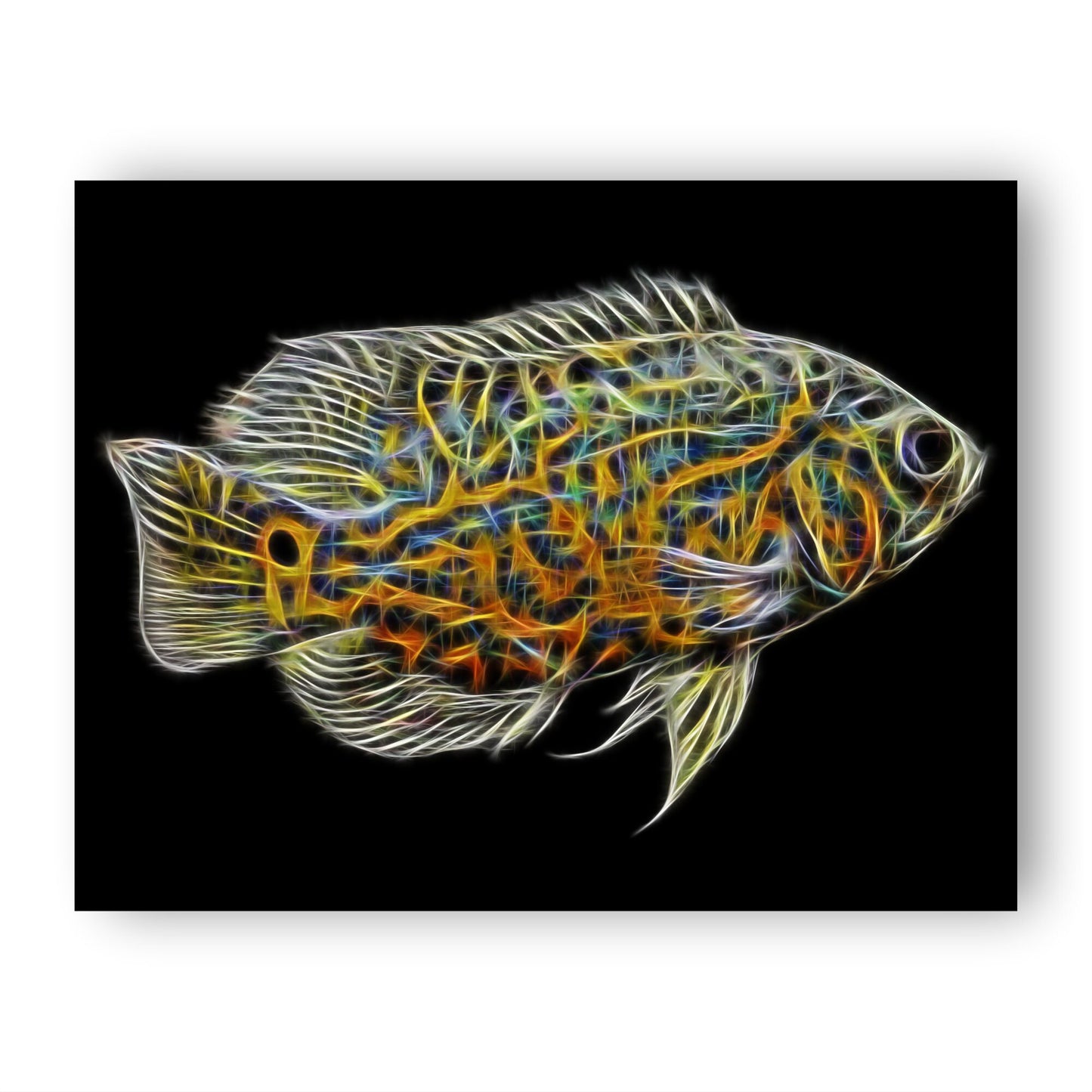 Lemon Tiger Oscar Fish Print with Stunning Fractal Art Design.