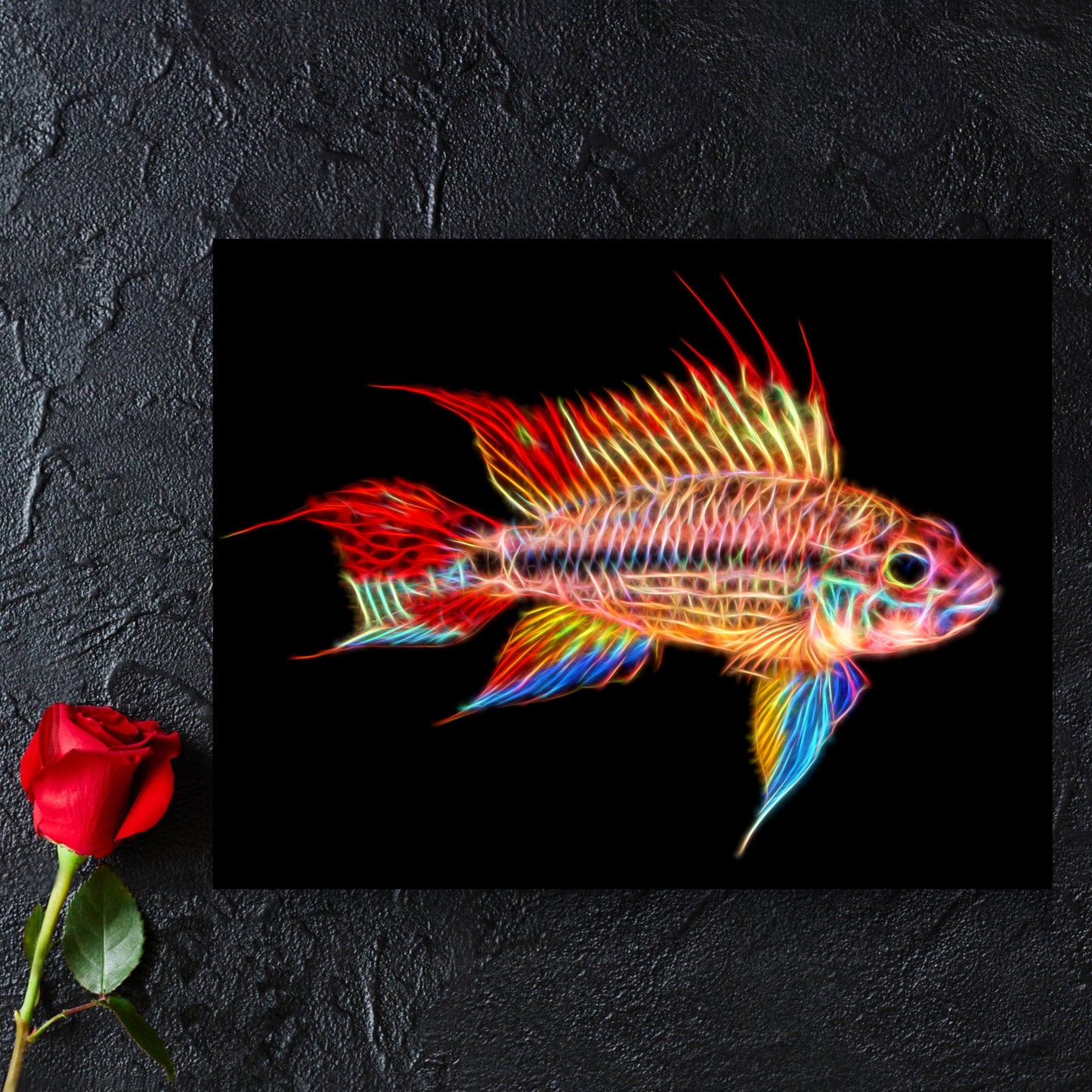 Super Red Cockatoo Dwarf Cichlid Fish Print with Stunning Fractal Art Design. Size 8 x 10 inches