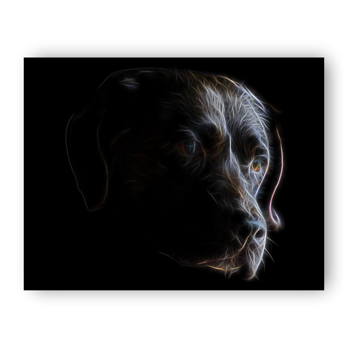Chocolate Labrador Print with Stunning Fractal Art Design. Various Sizes Available