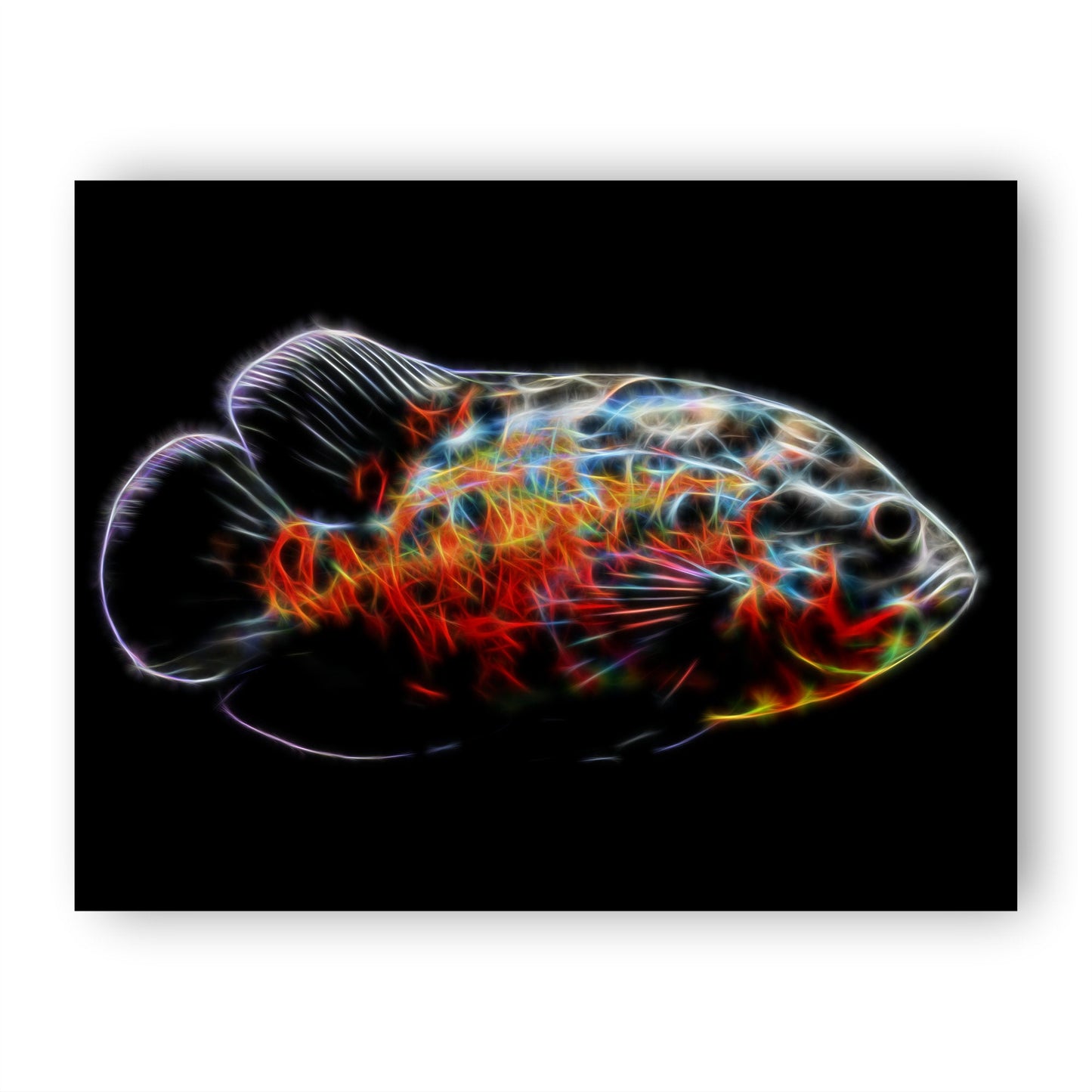 Tiger Oscar Fish Print with Stunning Fractal Art Design.