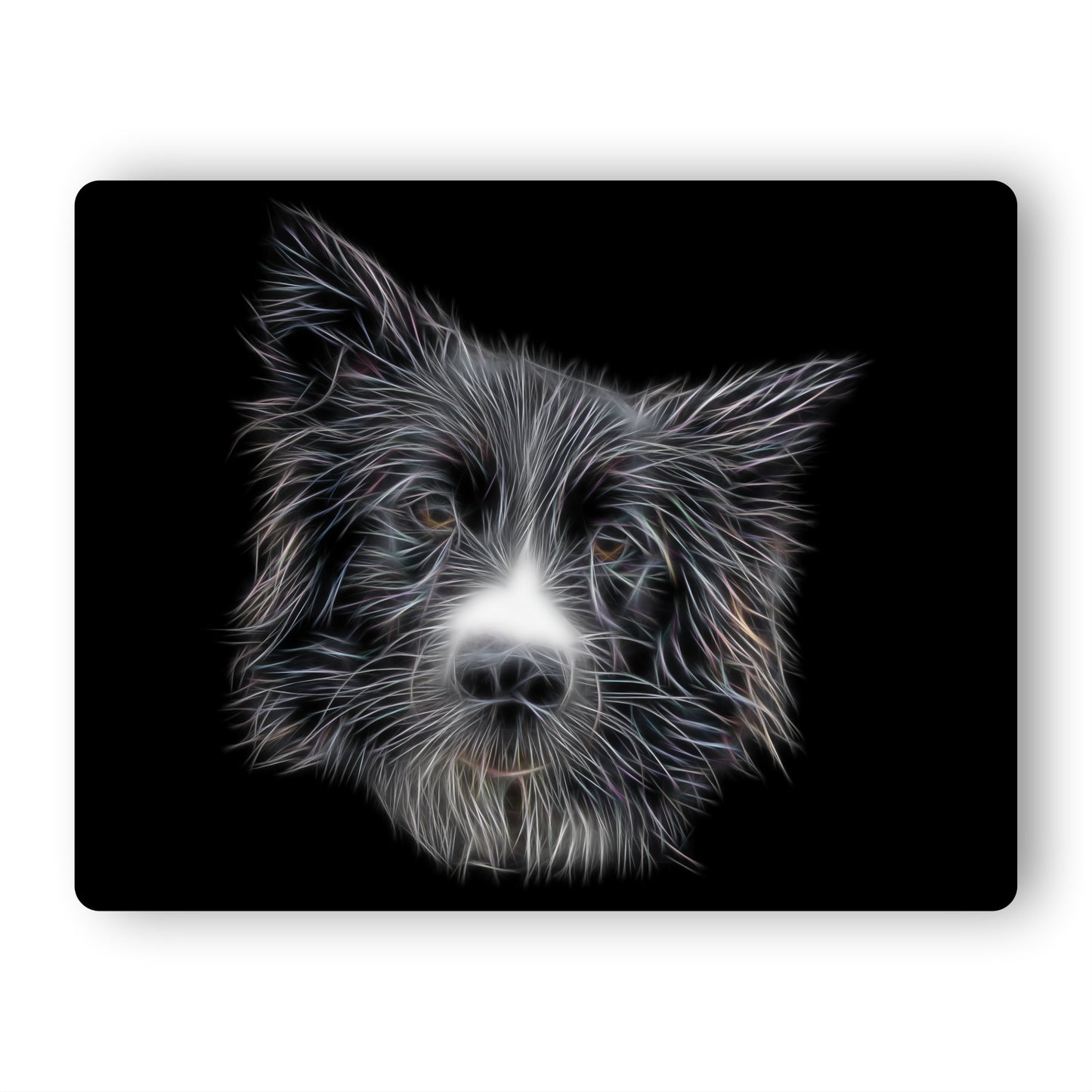 Border Collie Metal Wall Plaque with Fractal Art Design. Perfect Gift for dog Owner