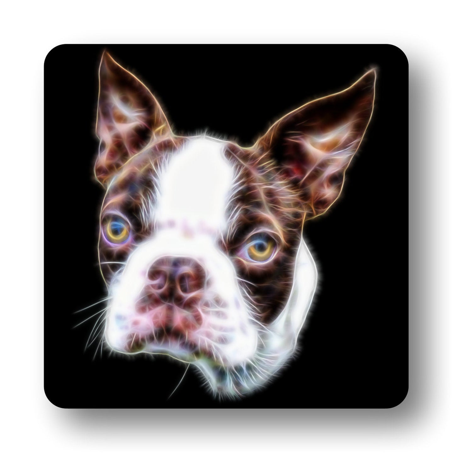 Brown and White Boston Terrier Coasters, Set of 2, with Stunning Fractal Art Design.