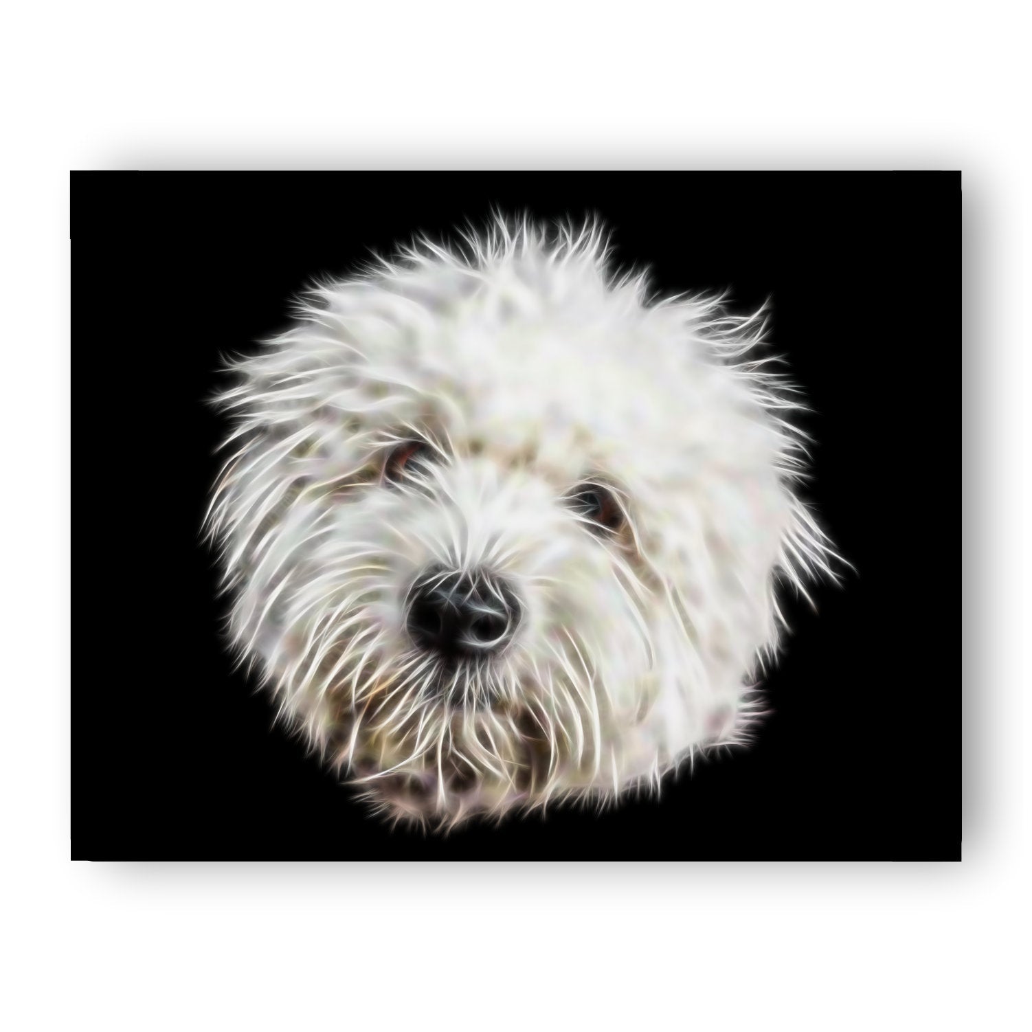 Coton De Tulear Print with Stunning Fractal Art Design. Various Sizes Available