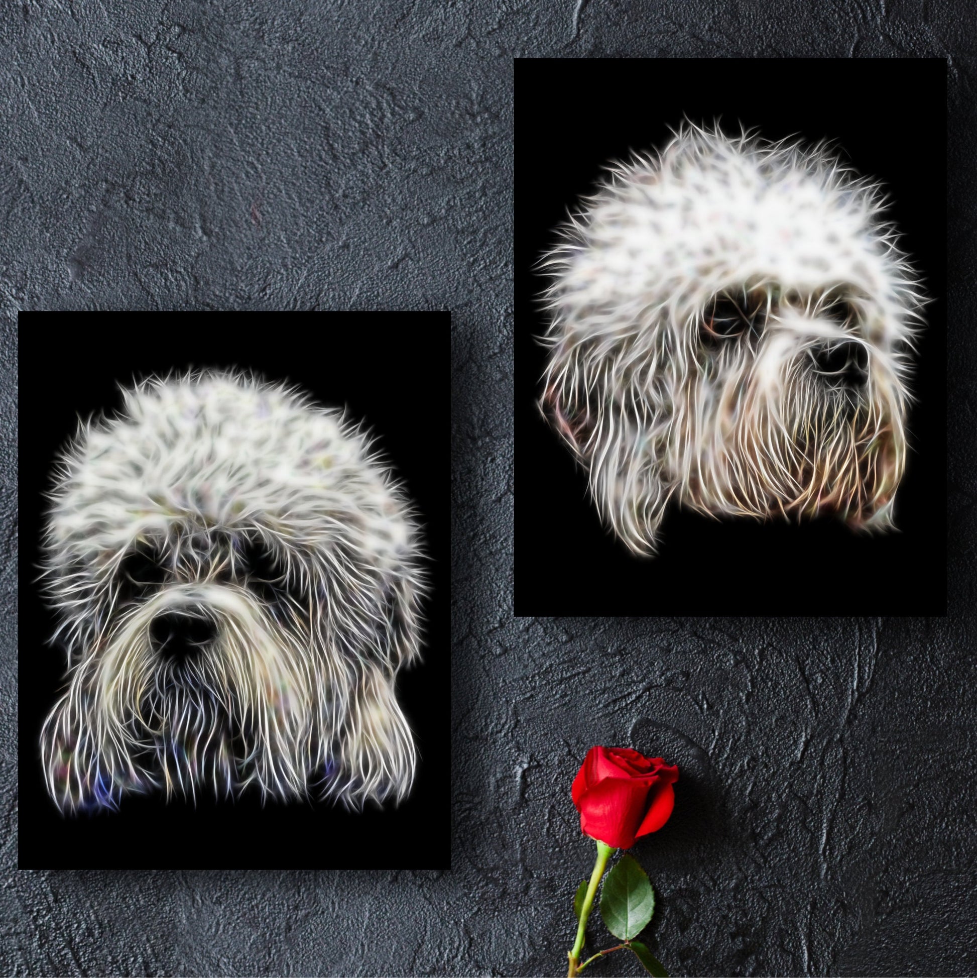 Dandie Dinmont Terrier Print with Stunning Fractal Art Design. Various Sizes Available