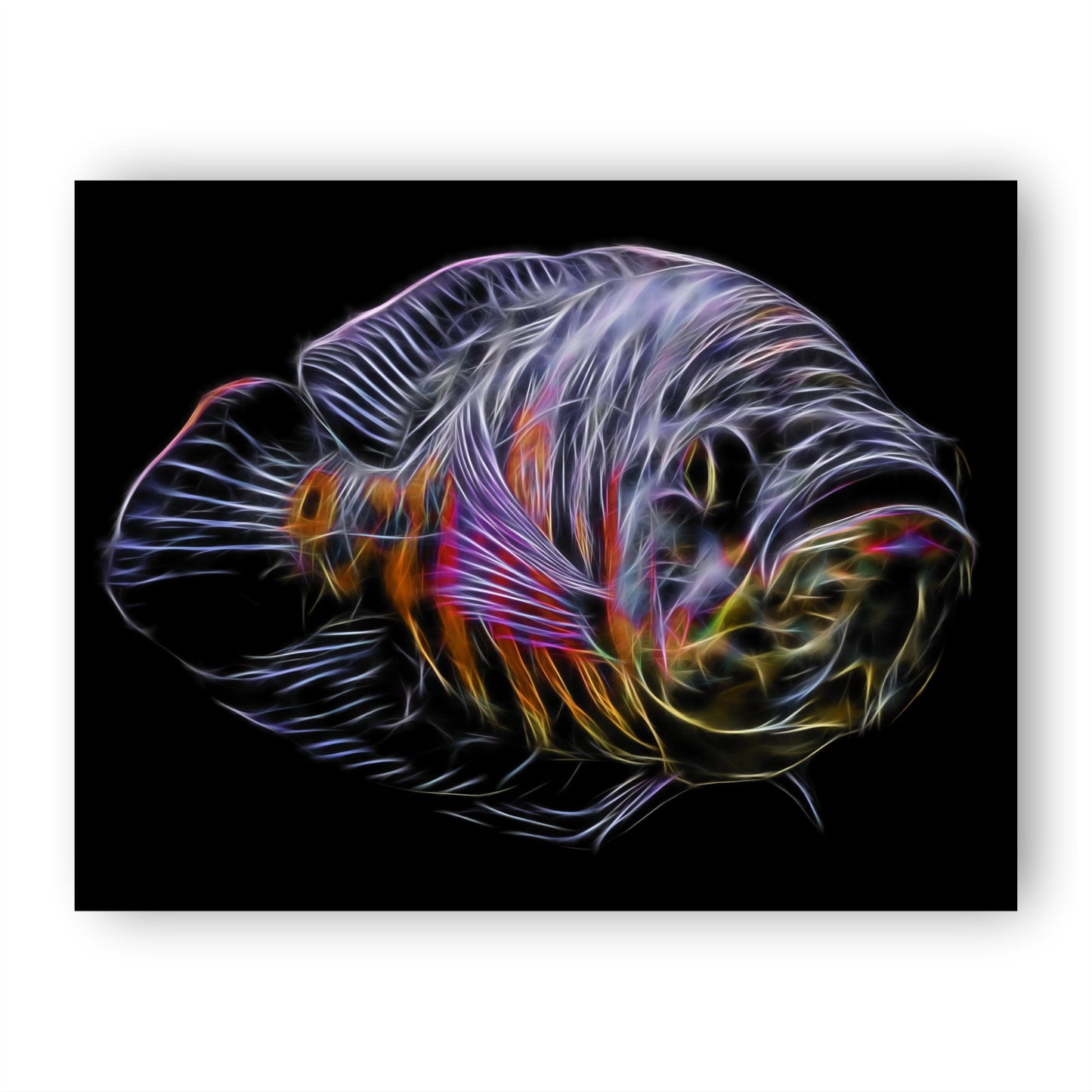 Tiger Oscar Fish Print with Stunning Fractal Art Design.