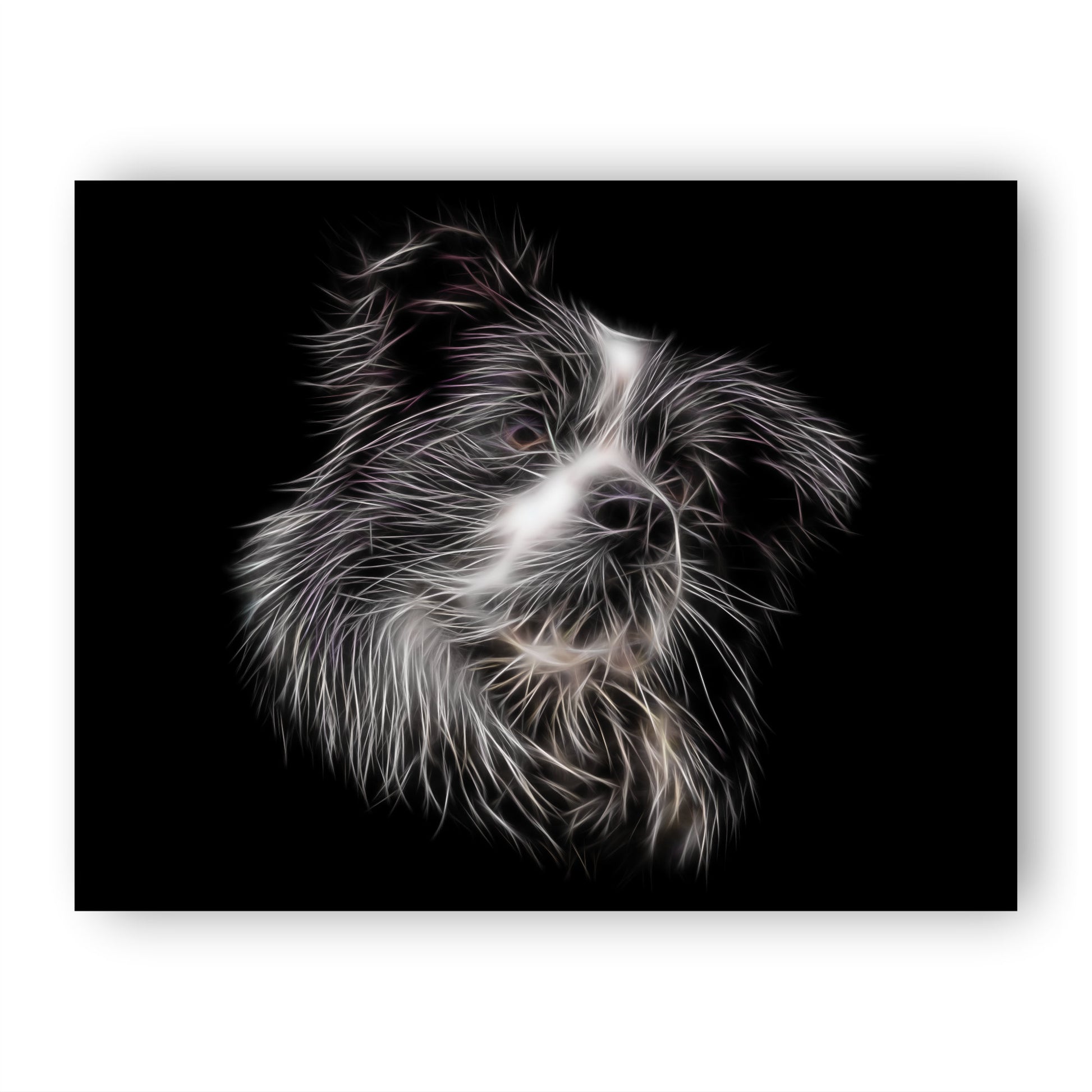Border Collie Print with Stunning Fractal Art Design. Various Sizes Available