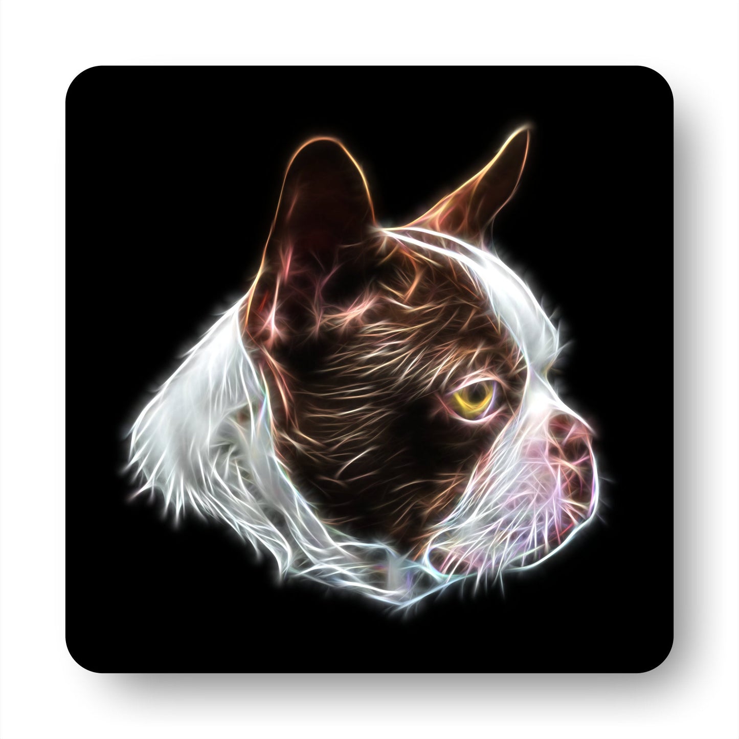 Brown and White Boston Terrier Coasters, Set of 2, with Stunning Fractal Art Design.