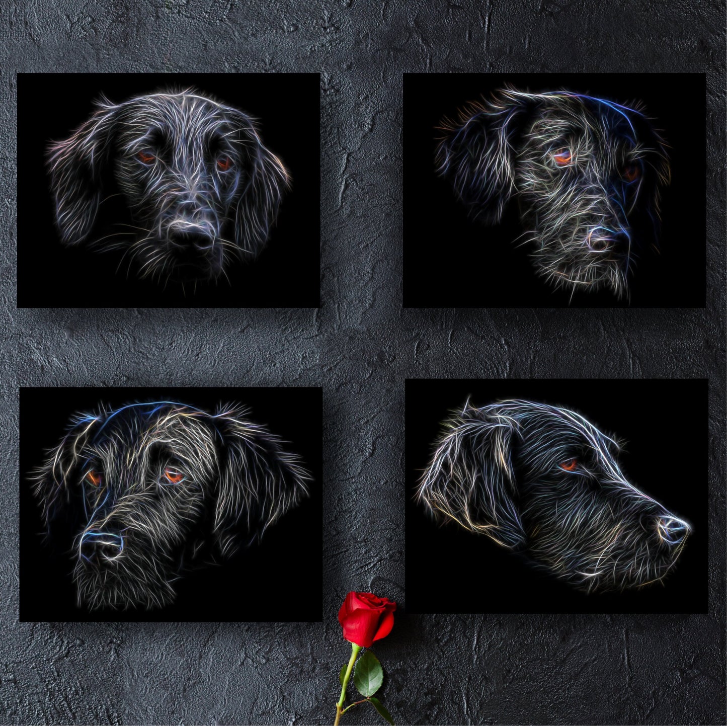 Flat Coated Retriever Dog Print with Stunning Fractal Art Design. Various Sizes Available