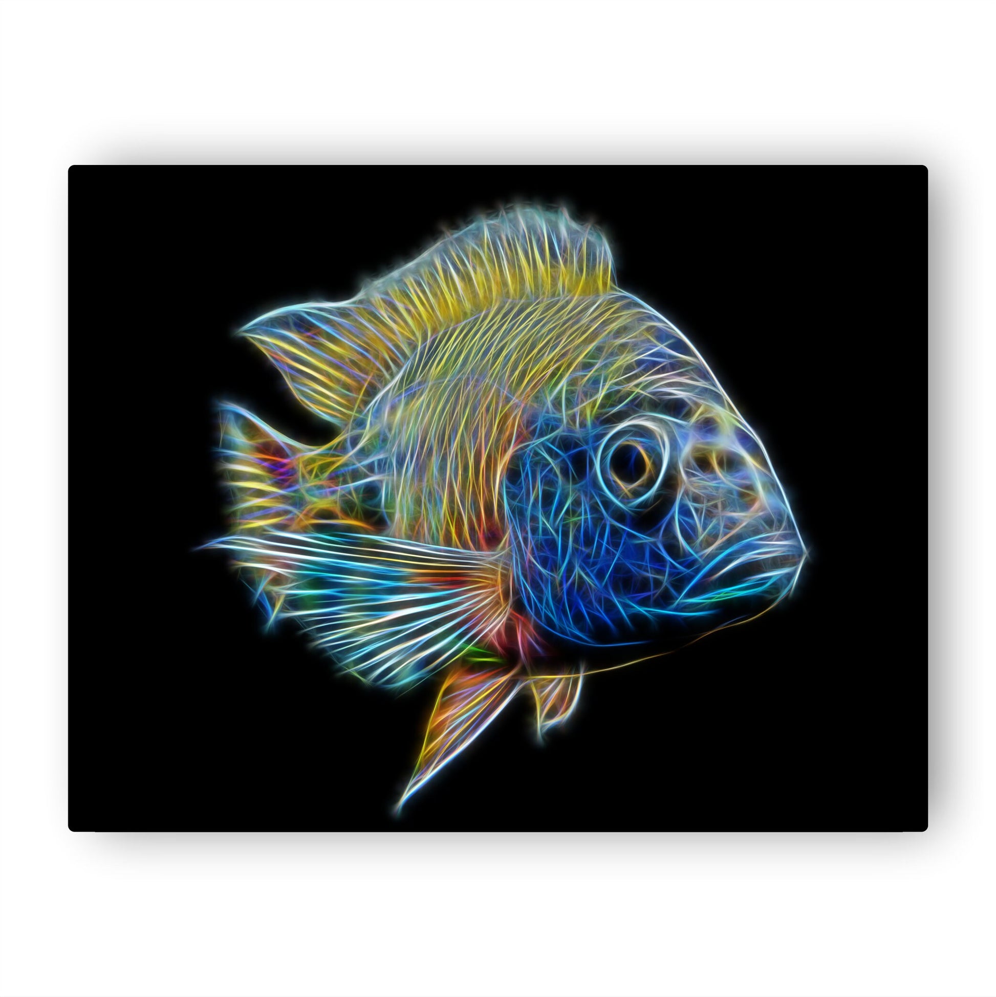 Ruby Red Peacock Cichlid Aluminium Metal Wall Plaque with Stunning Fractal Art Design.  Aulonocara Rubescens