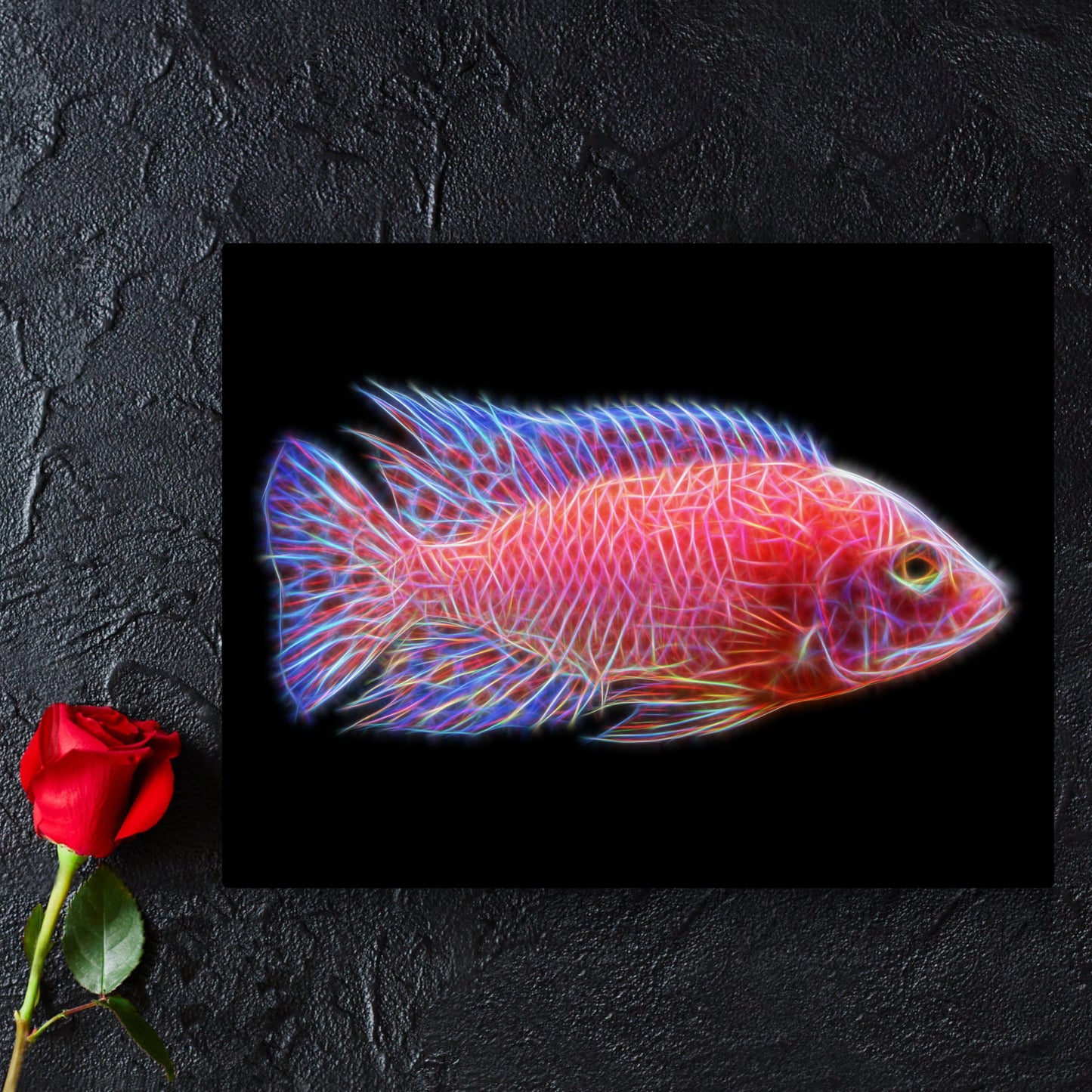 Dragon Blood Peacock Cichlid Metal Wall Plaque with Stunning Fractal Art Design. Aulonocara Sp