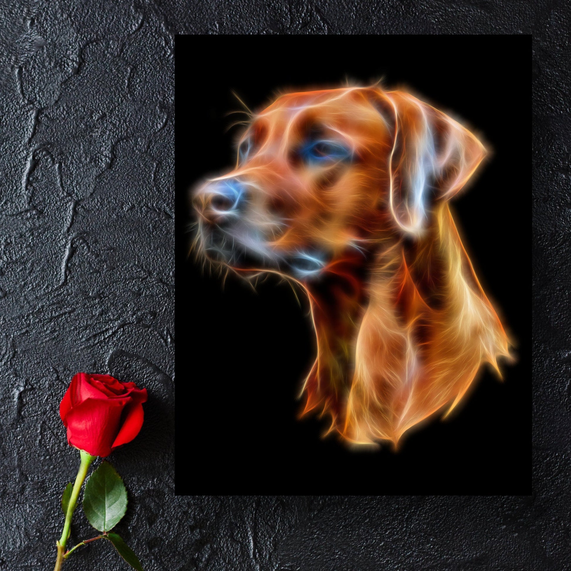 Rhodesian Ridgeback Metal Wall Plaque with Stunning Fractal Art Design. Also available as Mouse Pad, Keychain or Coaster.