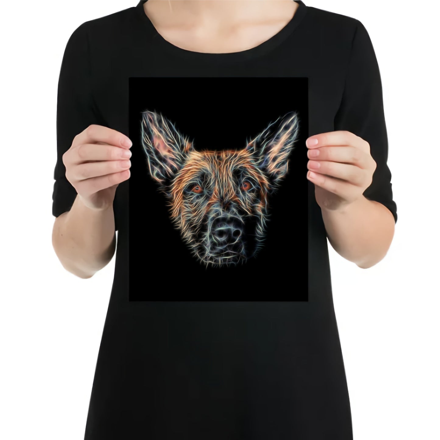 Belgian Malinois Aluminium Metal Wall Plaque. Perfect Belgian Shepherd Owner or Dog Lover Gift.