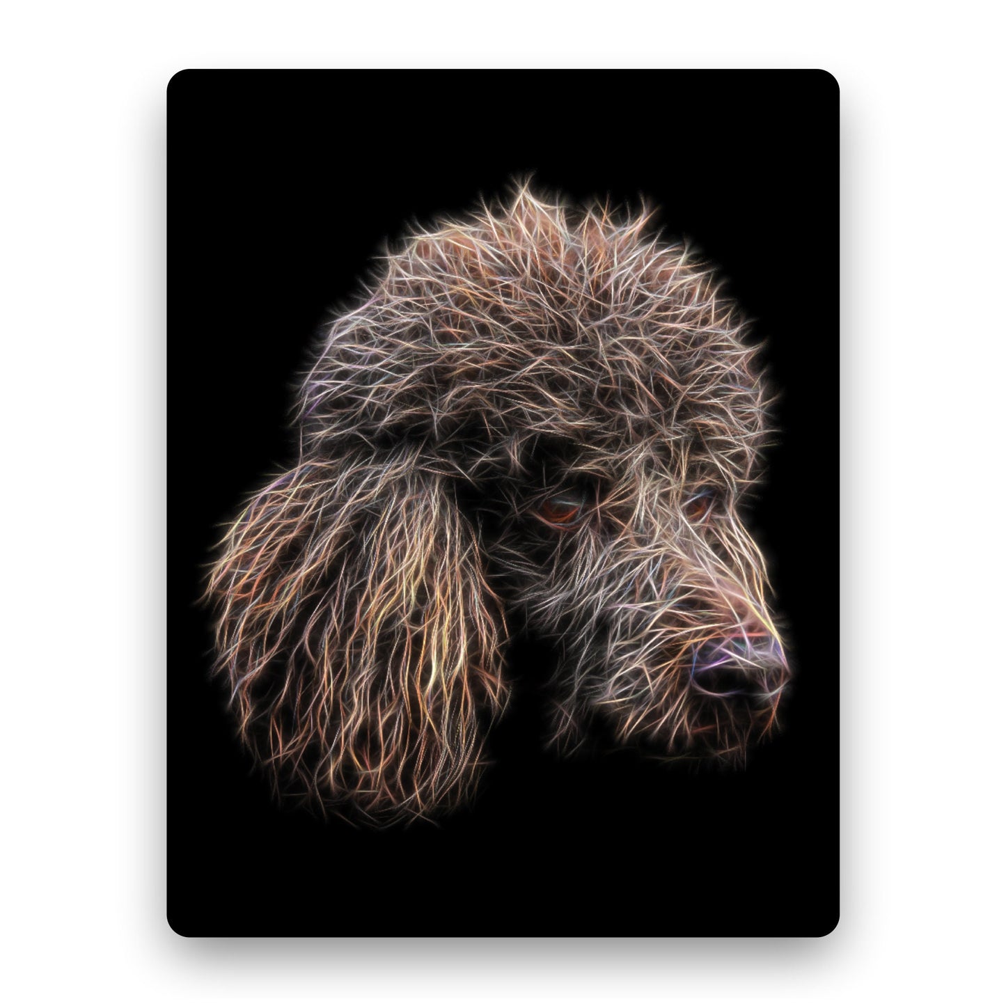 Chocolate Brown Standard Poodle Metal Wall Plaque with Stunning Fractal Art Design.