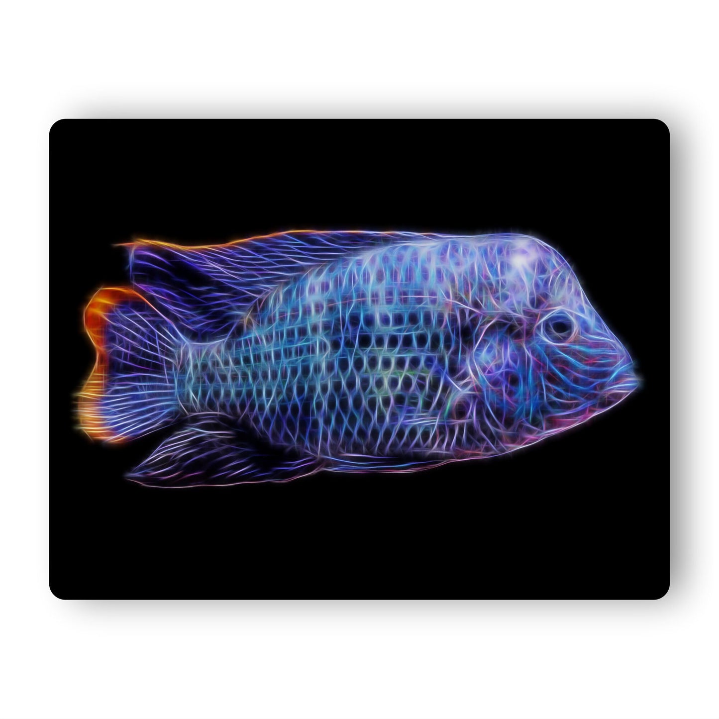 Custom Fish Portrait Print from your own Photos.