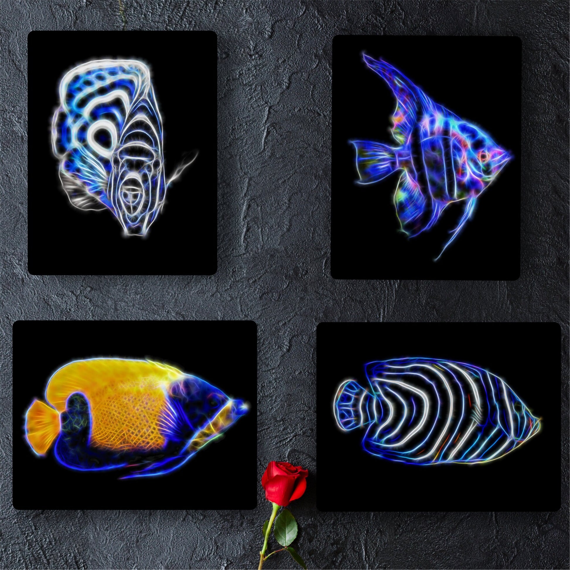 Custom Fish Portrait Print from your own Photos.