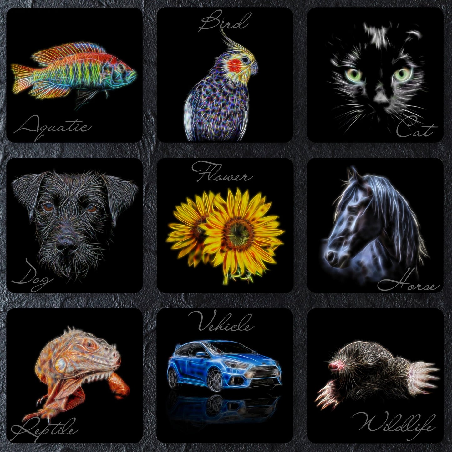 Any 2 Coasters and gift box from Fractal Artworks