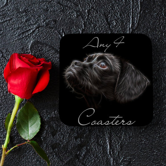 Any 4 Coasters and Gift Box from Fractal Artworks