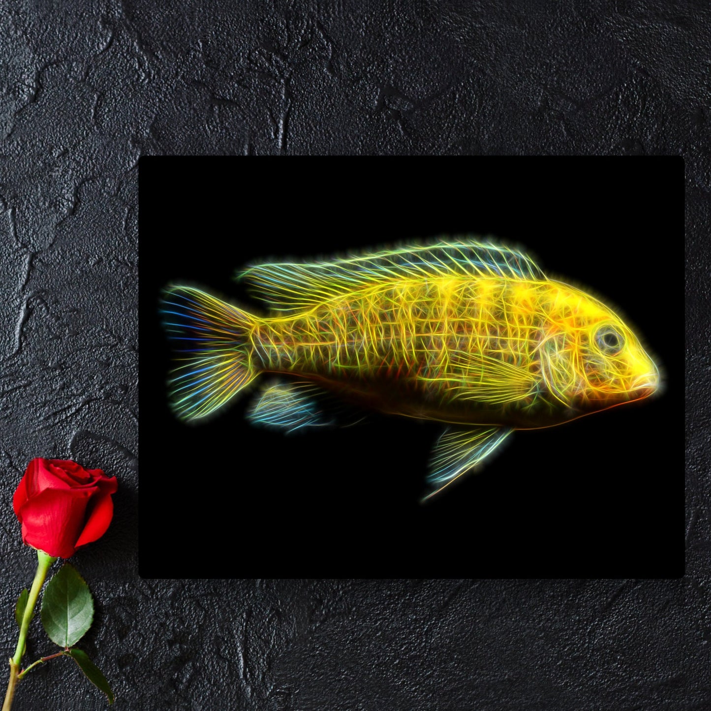 Labidochromis caeruleus (Yellow Lab) Cichlid Prints with Stunning Fractal Art Design.