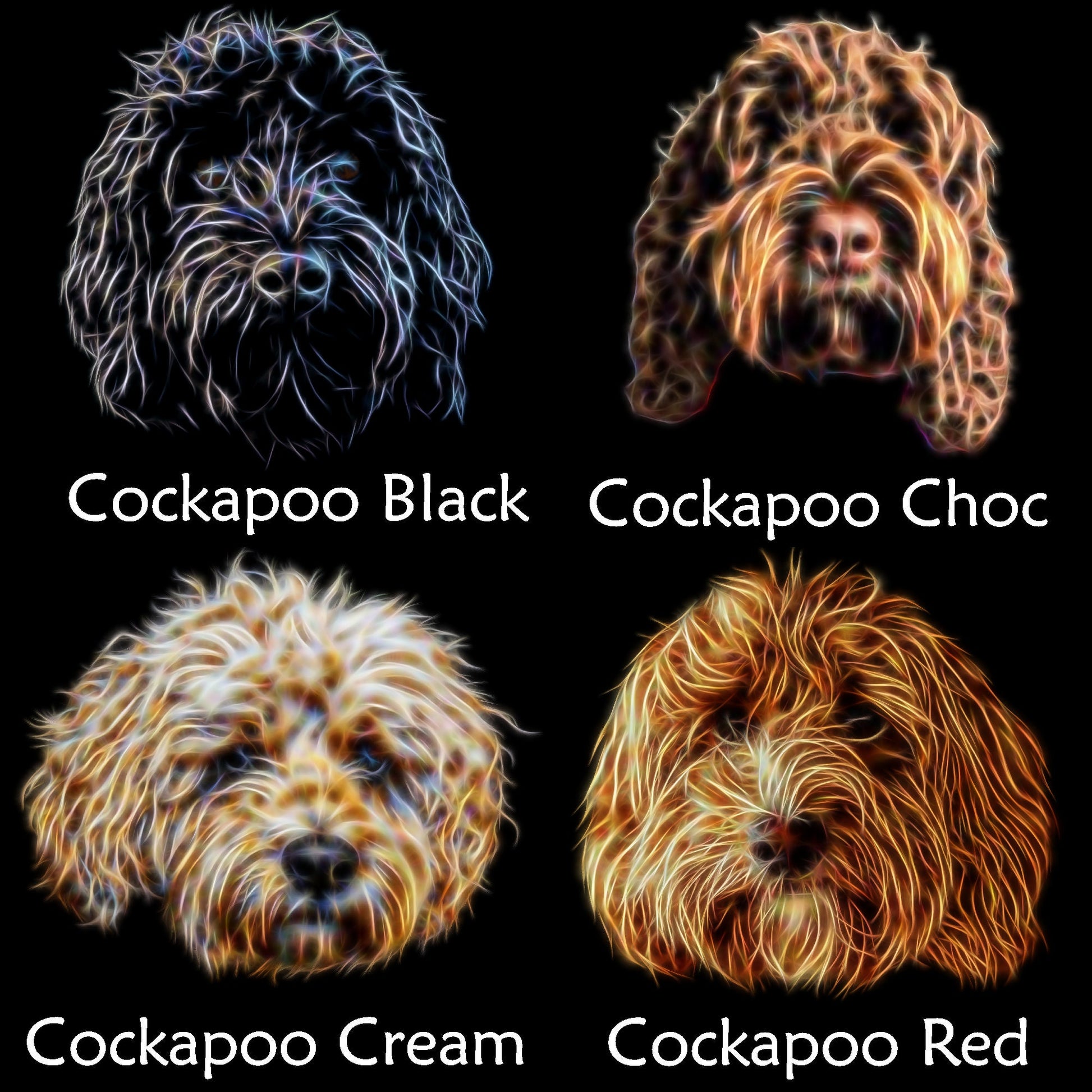 Designer Cross Breed Coaster. Various Breeds including Cockapoo Labradoodle  Cavapoo Cavachon Chorkie Sprocker and  more