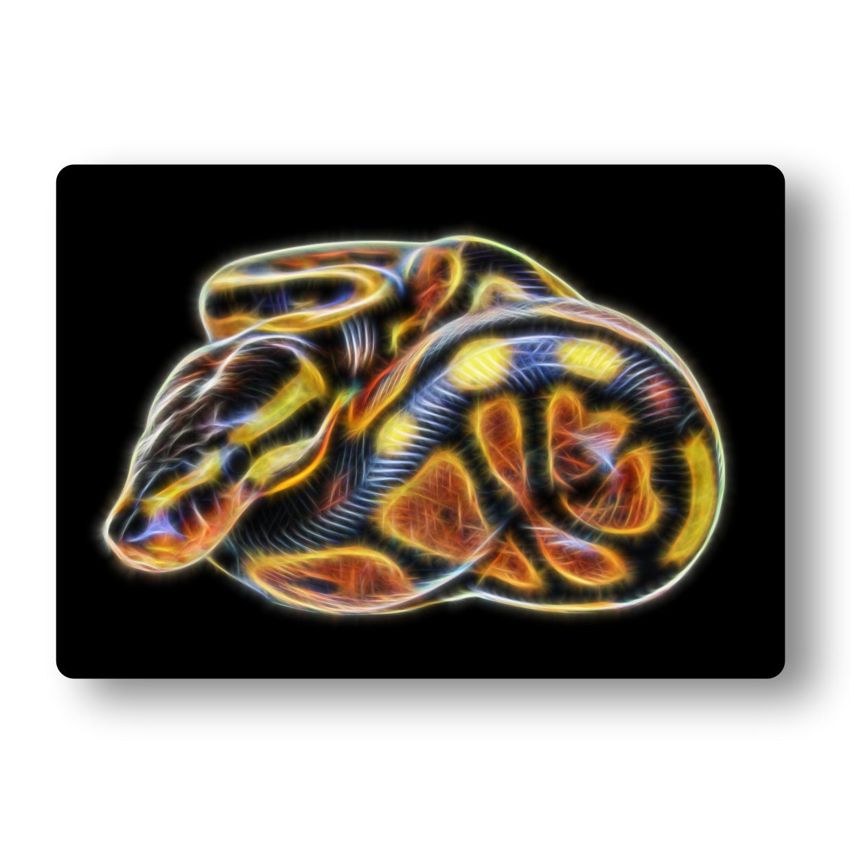 Reptile Print with Stunning Fractal Art Design. Various Sizes and Designs Available. Chamaeleon Gecko Snake Tortoise