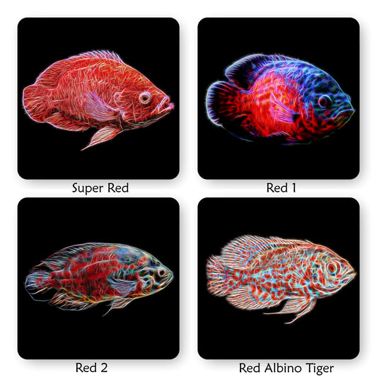 Oscar Cichlid Coaster with Stunning Fractal Art Design. Choose One of 14 Oscar Fish Designs