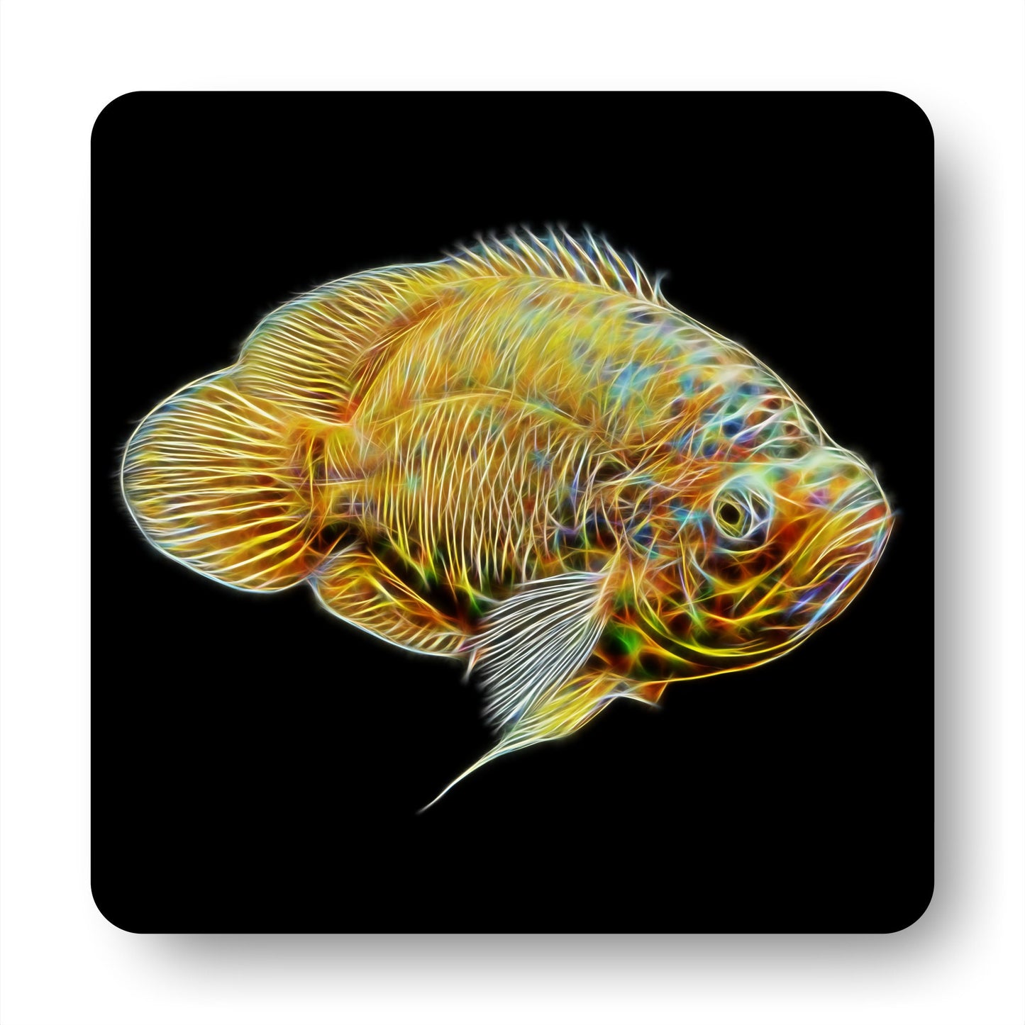 Oscar Cichlid Coaster with Stunning Fractal Art Design. Choose One of 14 Oscar Fish Designs