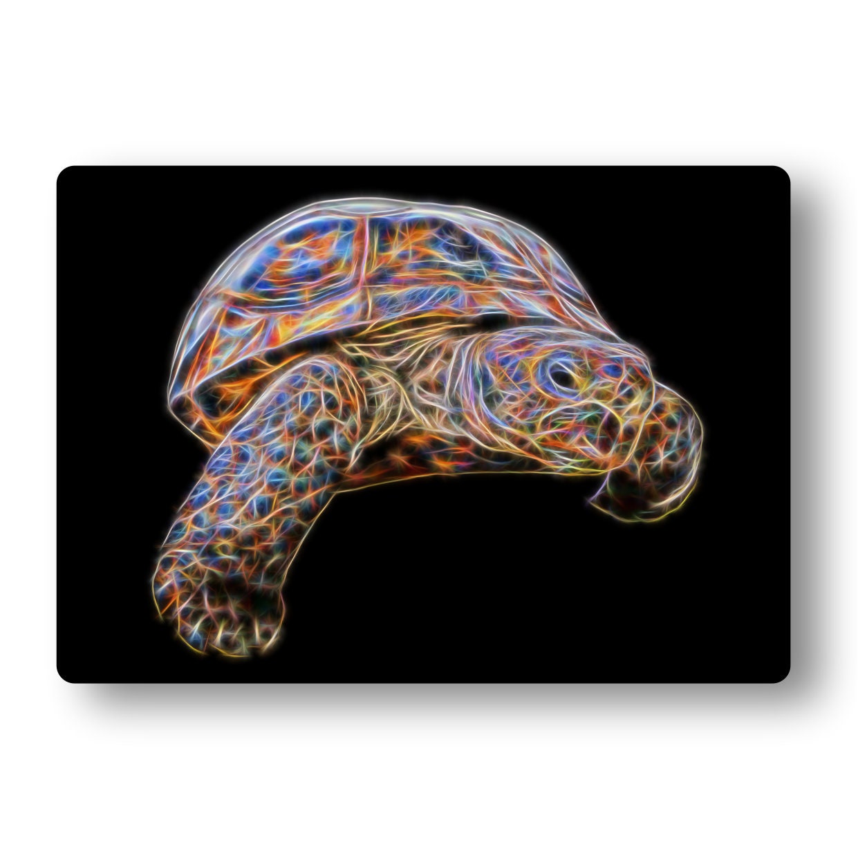 Reptile Print with Stunning Fractal Art Design. Various Sizes and Designs Available. Chamaeleon Gecko Snake Tortoise